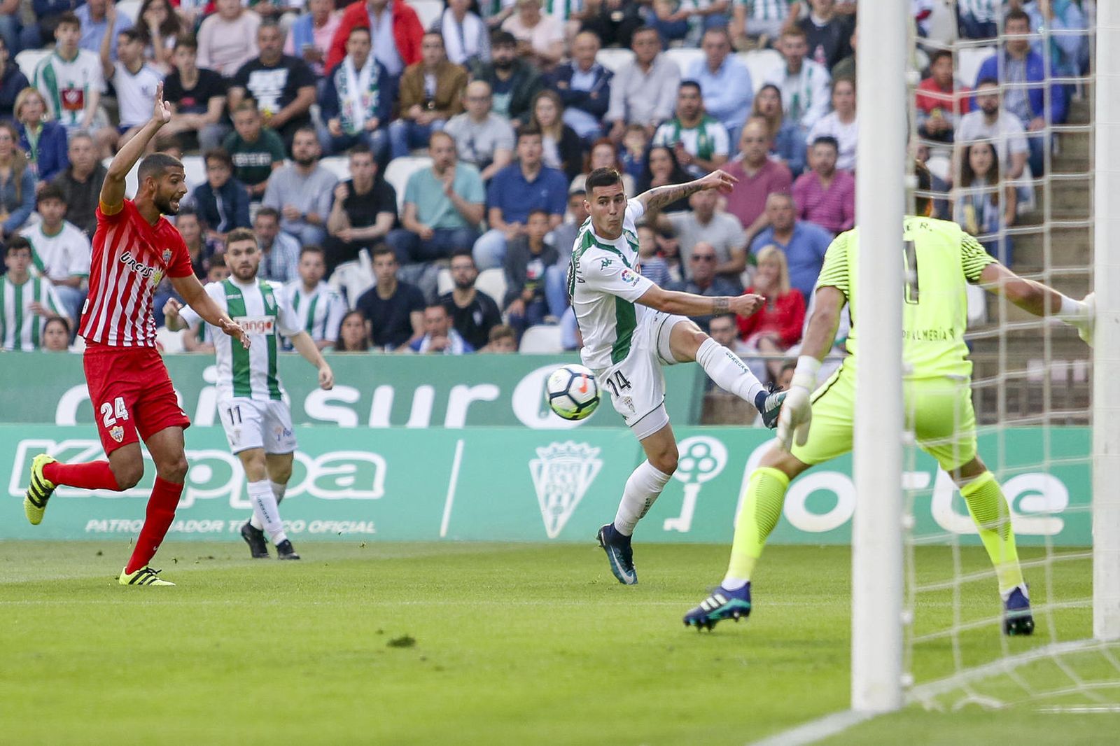Las imágenes del Córdoba-Almería