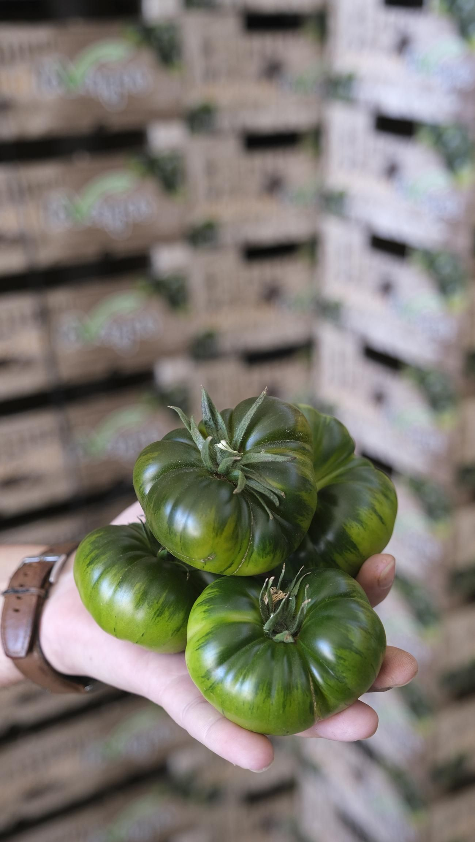 El auténtico Raf LoVargas