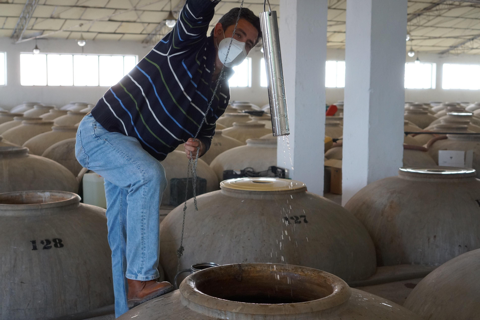 Un recorrido en fotografías por el vino nuevo de Moriles