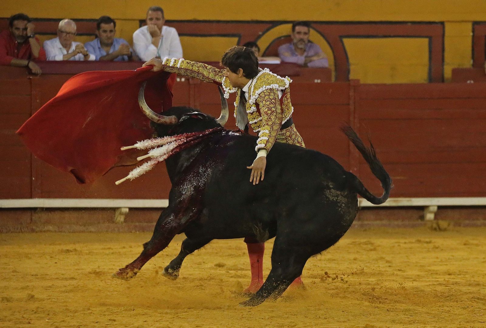 Fotos de la corrida del jueves de la Feria Taurina de Algeciras 2023:  Salvador Vega, Roca Rey y Pablo Aguado