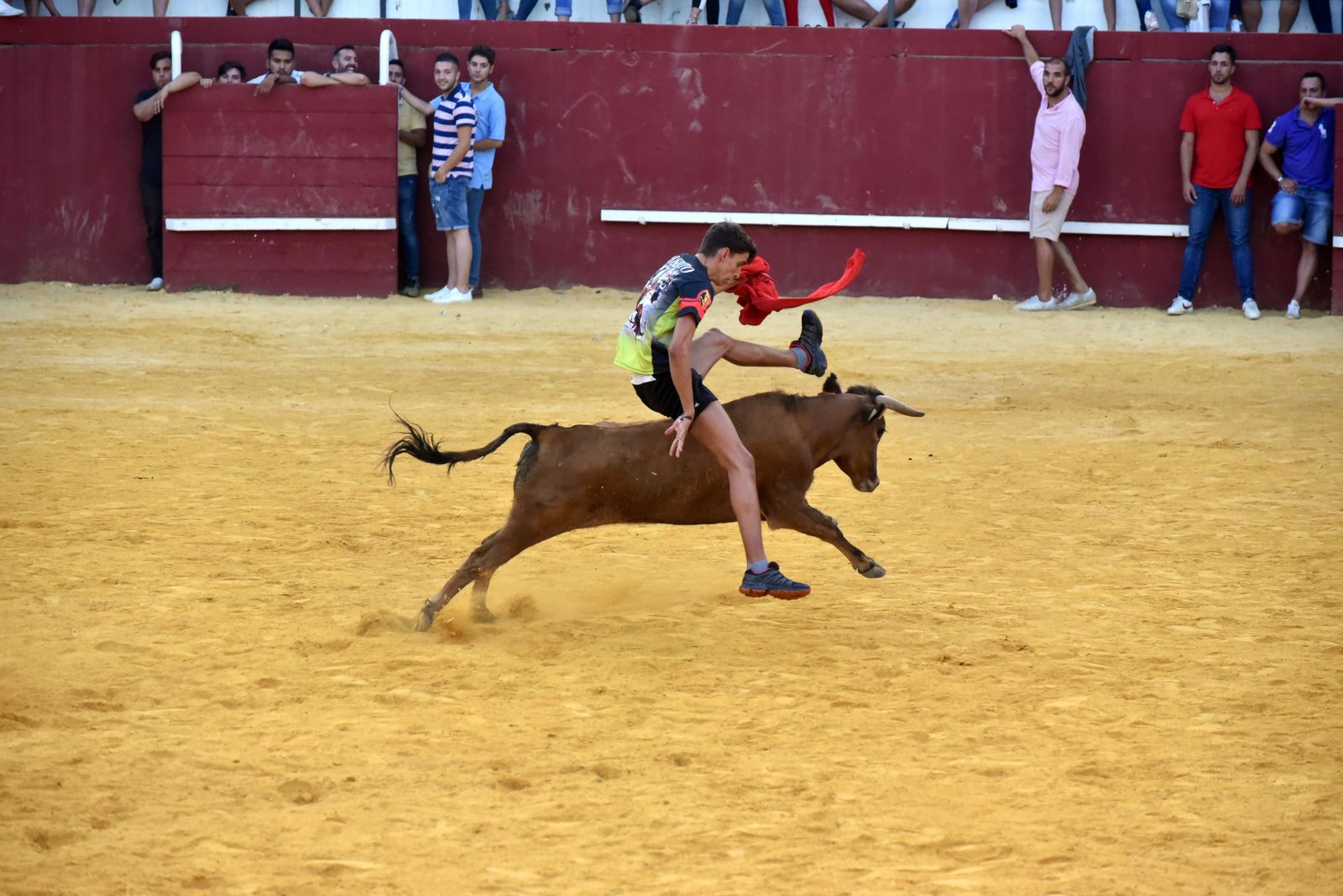Toro del Aguardiente