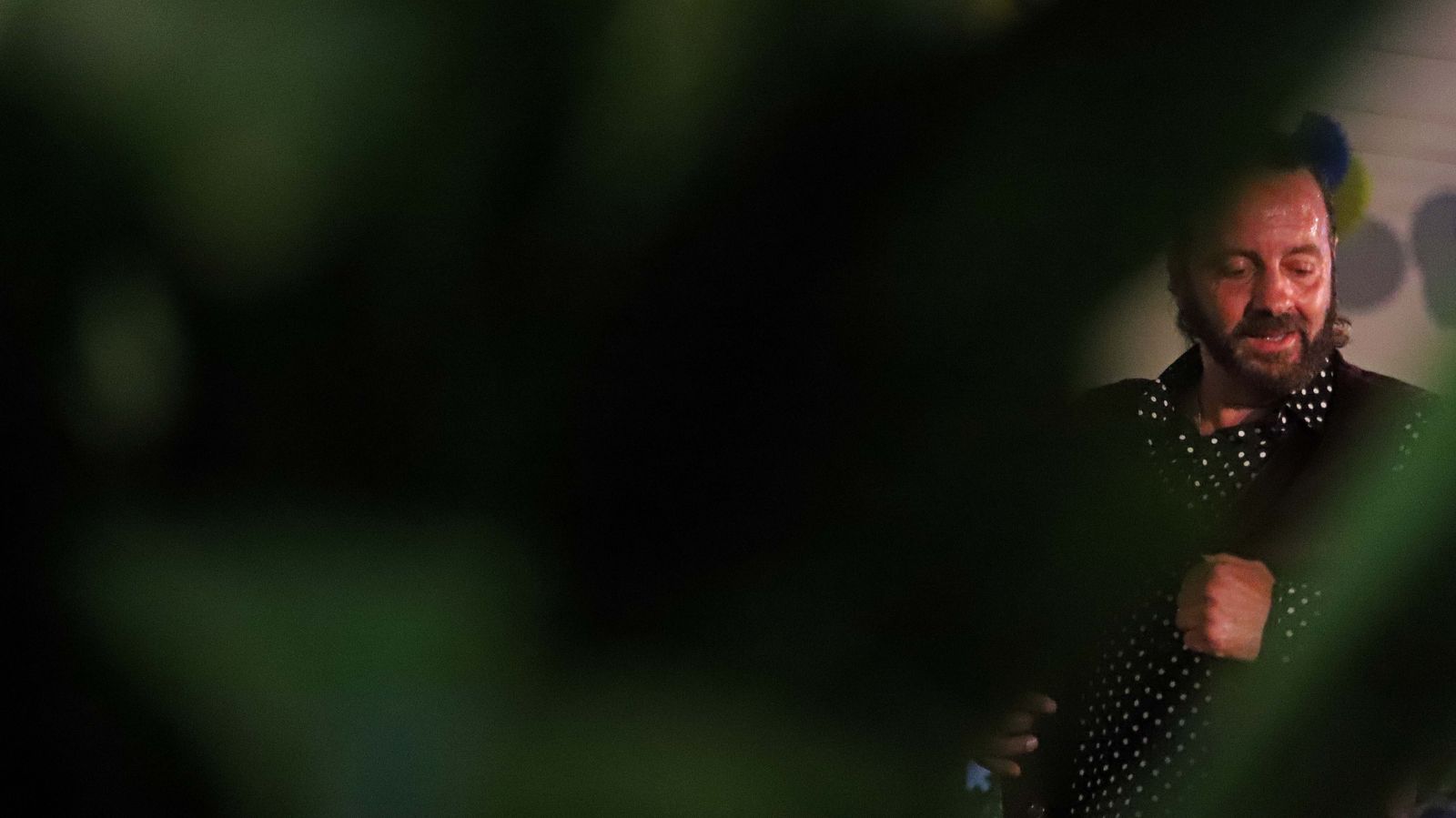 Fotos del Flamenco Tour en Algeciras