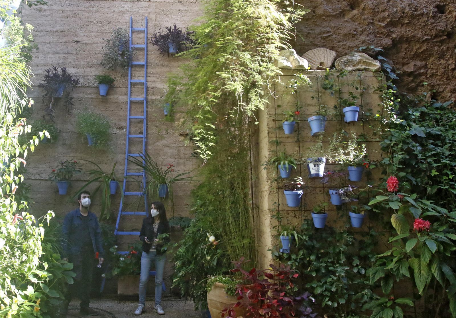 Los Patios en otoño, en fotografías