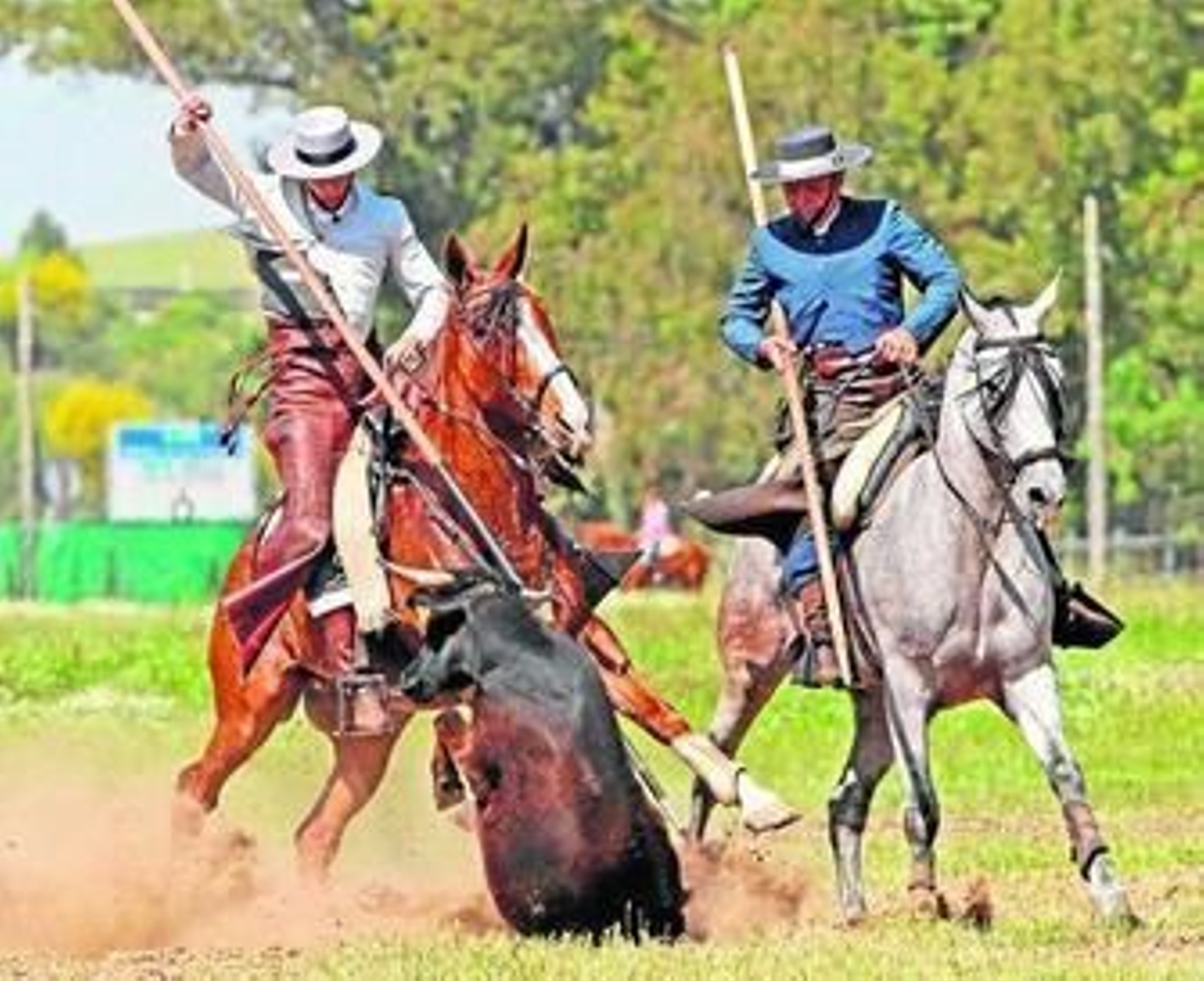 Acosando en el nombre del padre