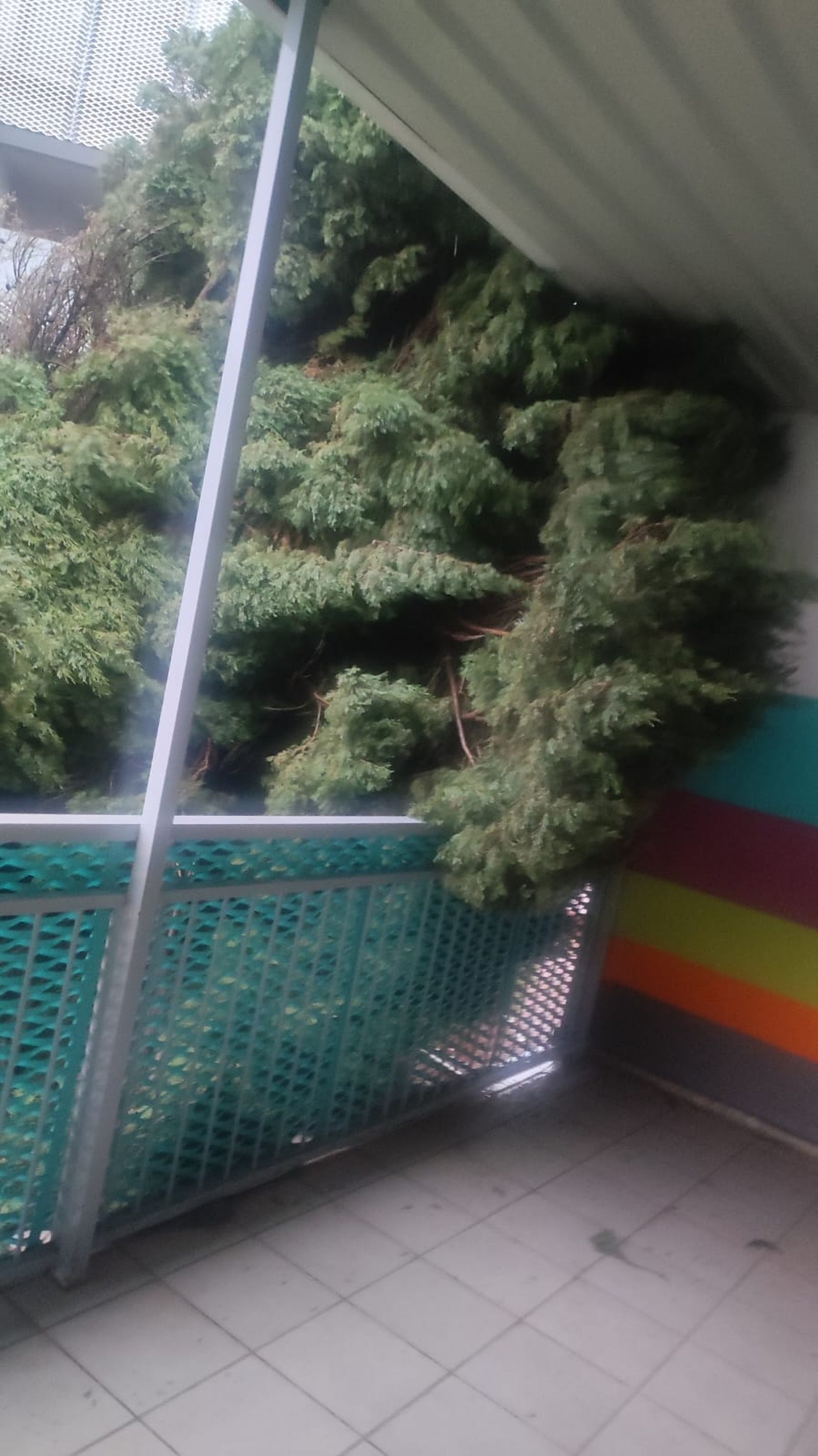 Colegio San Juan de la Cruz