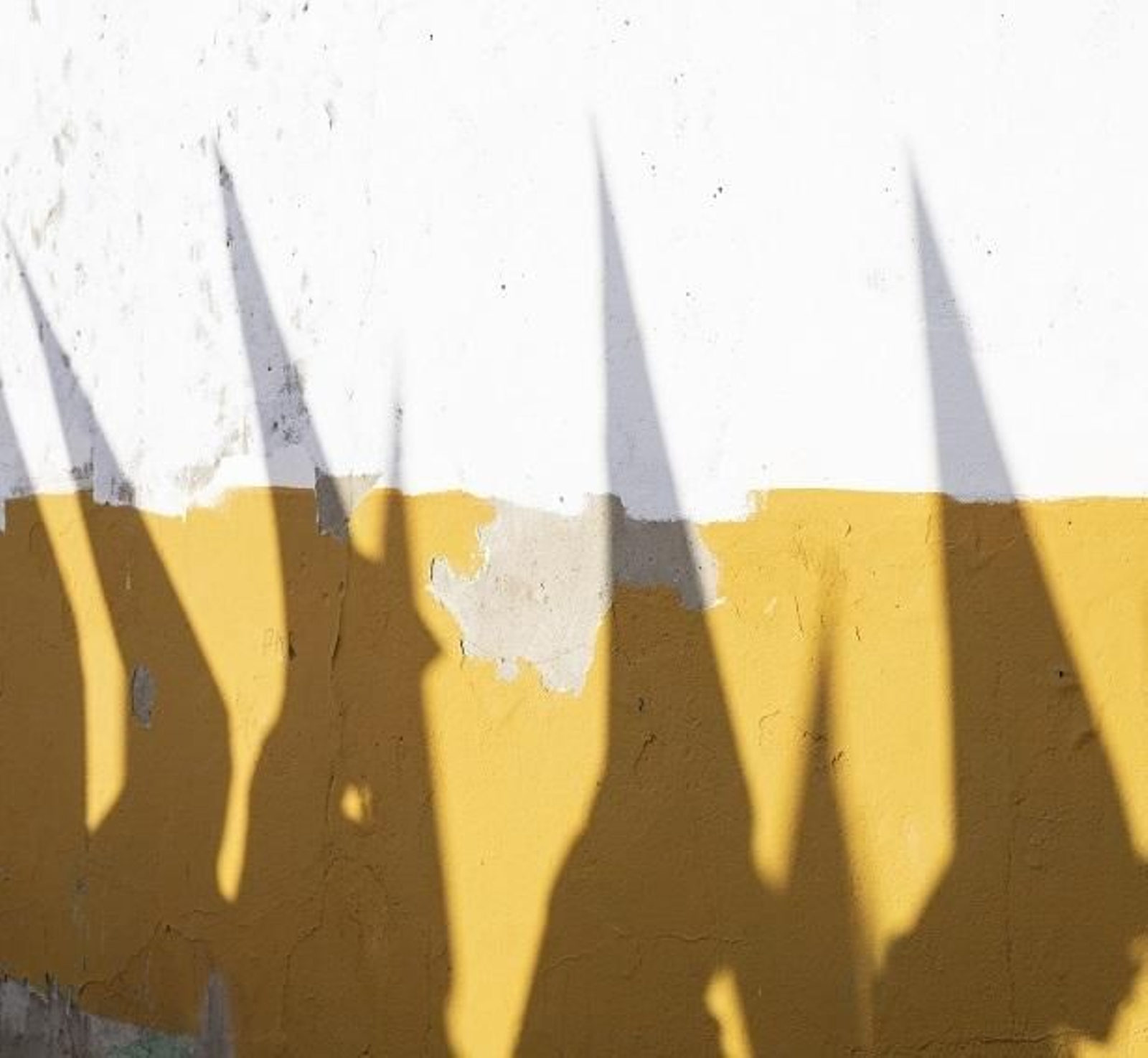 Las fotos de la exposición 'Magna Mariana' del fotógrafo Miguel Lorenzo en Algeciras