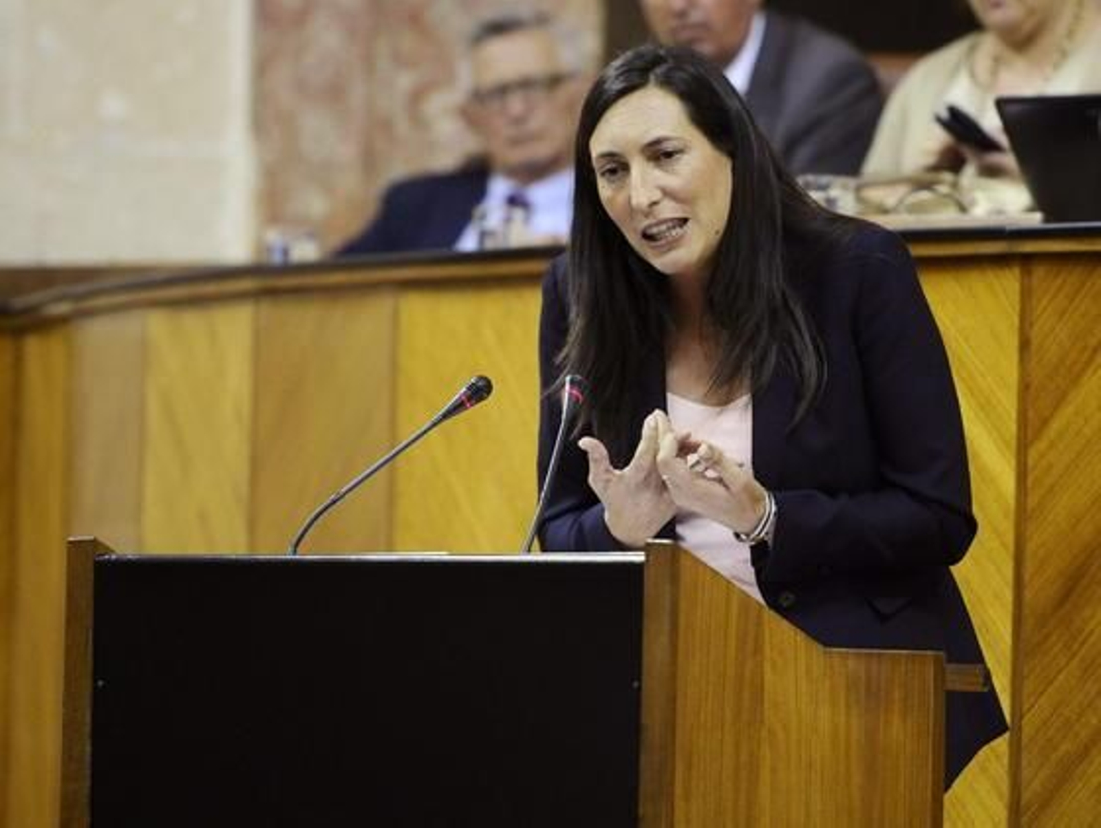 El PP atiza a Díaz con la corrupción y la acusa de "amparar" a los que se ponen "morados"