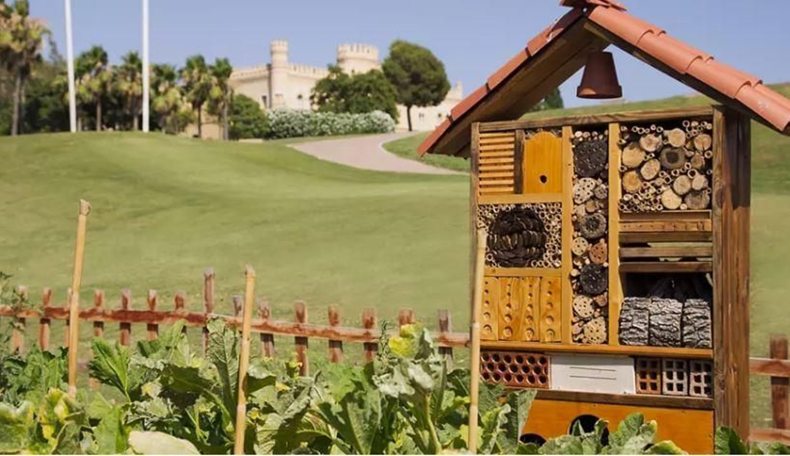 Barceló Montecastillo, en Jerez.