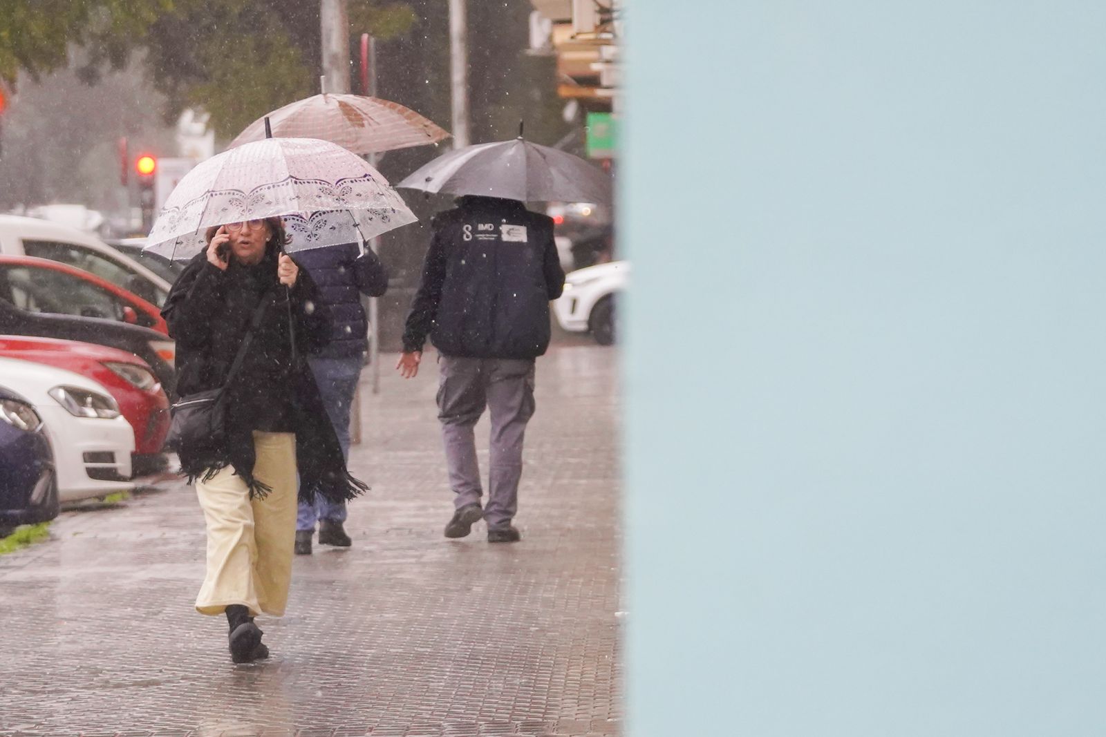 La intensa lluvia del miércoles 4 de Febrero, todas las fotos
