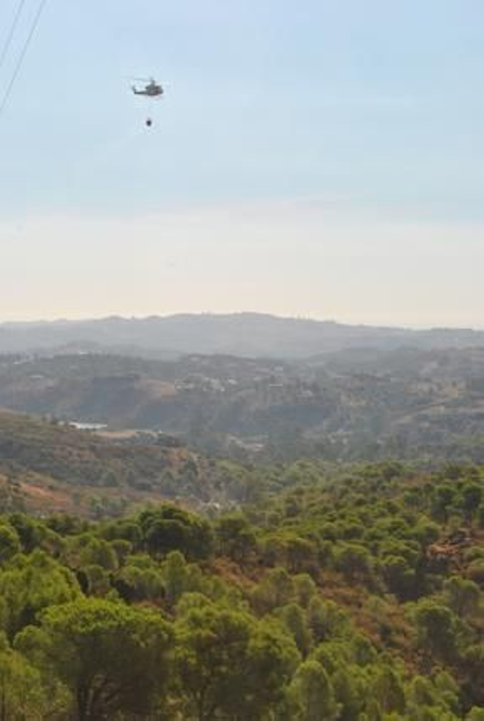 El incendio forestal, en imágenes