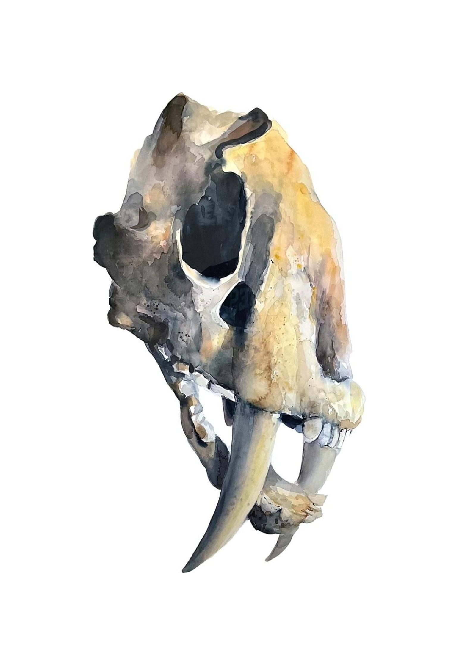 Obra de Pablo Fernández-Pujol.