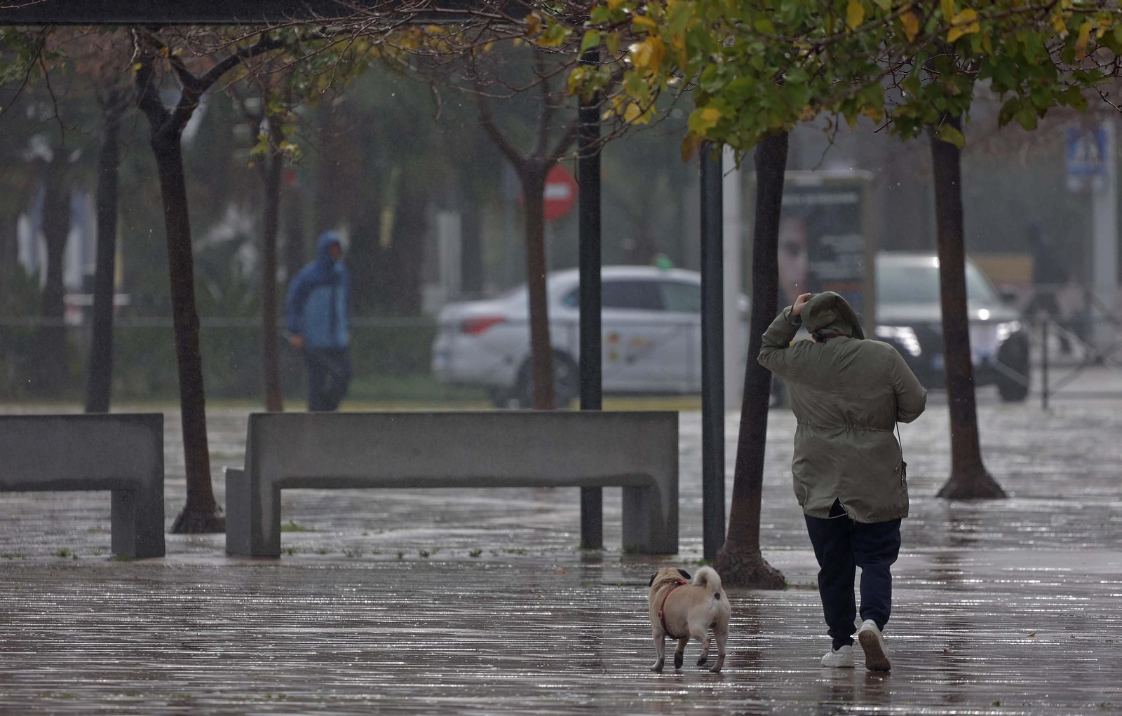 Fotos de los efectos de la borrasca Herminia en Algeciras