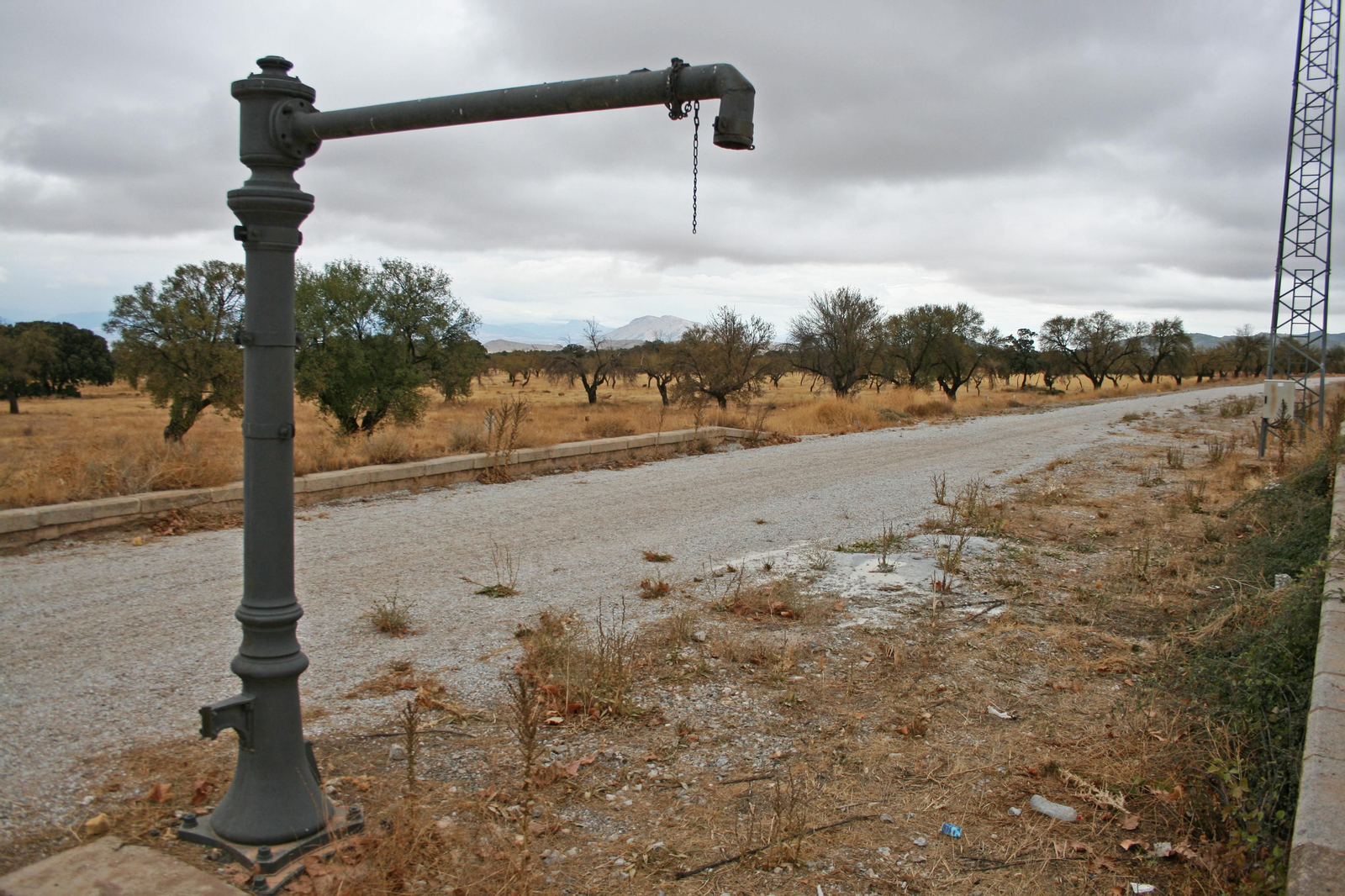 Fotos: el patrimonio ferroviario abandonado de la línea de tren Guadix-Baza-Lorca