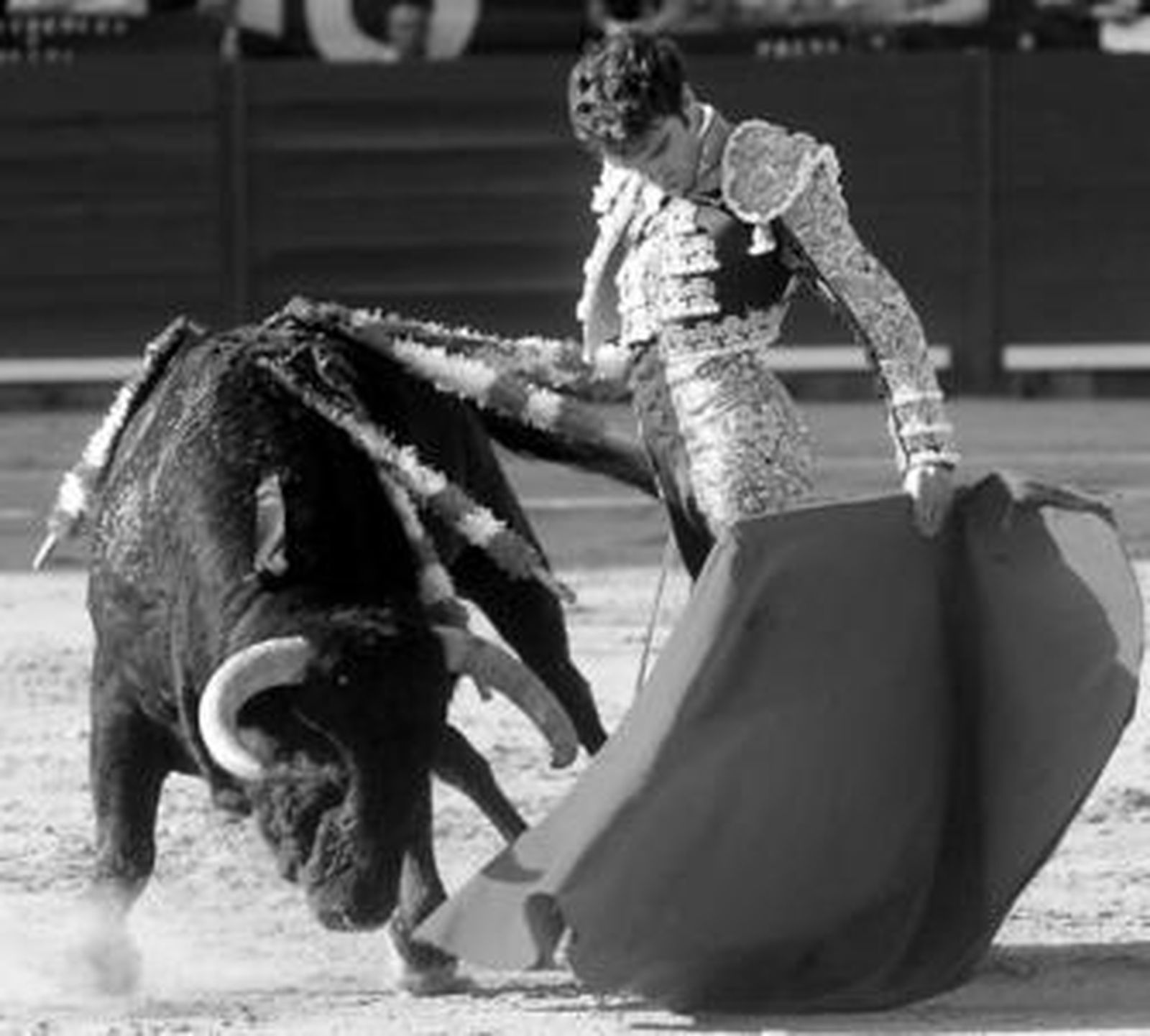 José Tomás ofreció, en la tarde del sábado, un verdadero recital de buen toreo al natural.