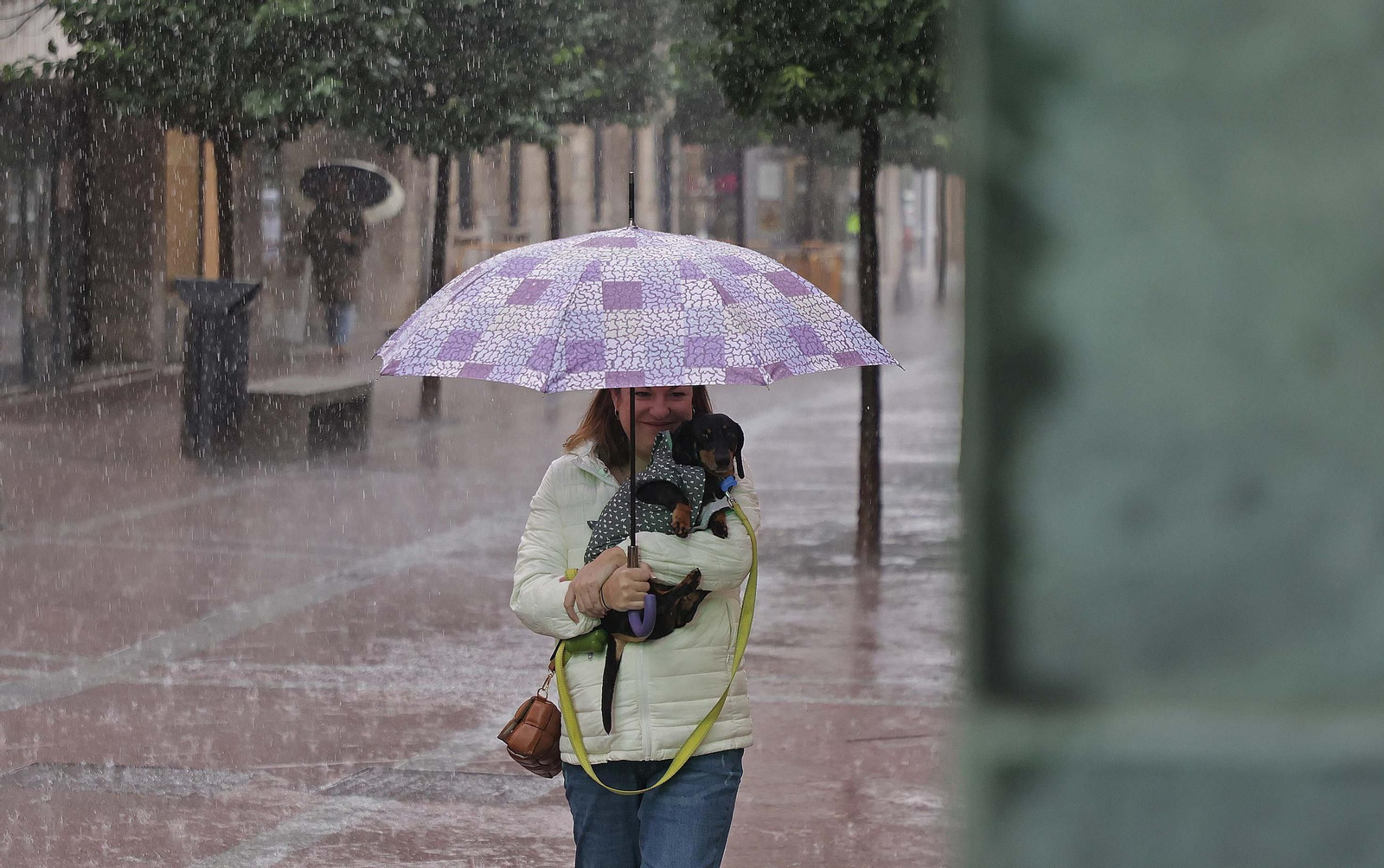 Fotos de la alerta naranja por lluvias en Algeciras