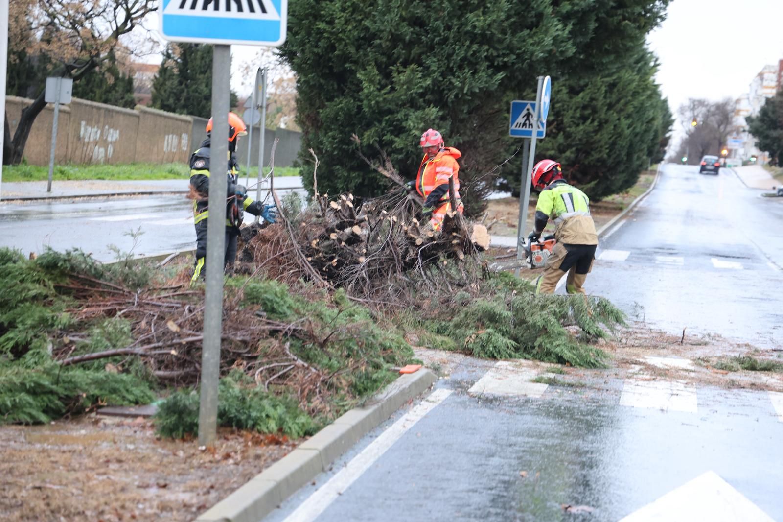 Fotografías de los destrozos de la borrasca Kristin en Huelva este miércoles