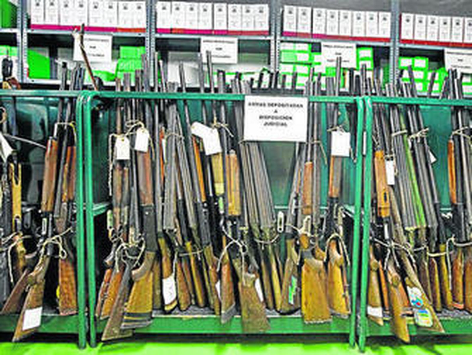 En fila, decenas de rifles y escopetas decomisadas, a disposición judicial.