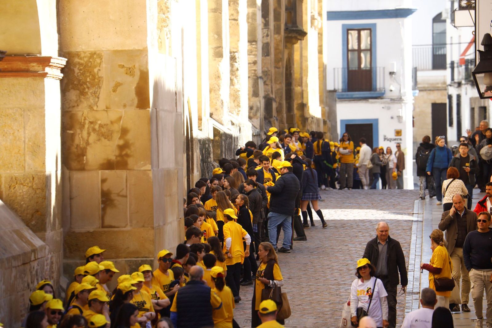 Las mejores imágenes del abrazo a la Mezquita-Catedral por las enfermedades raras