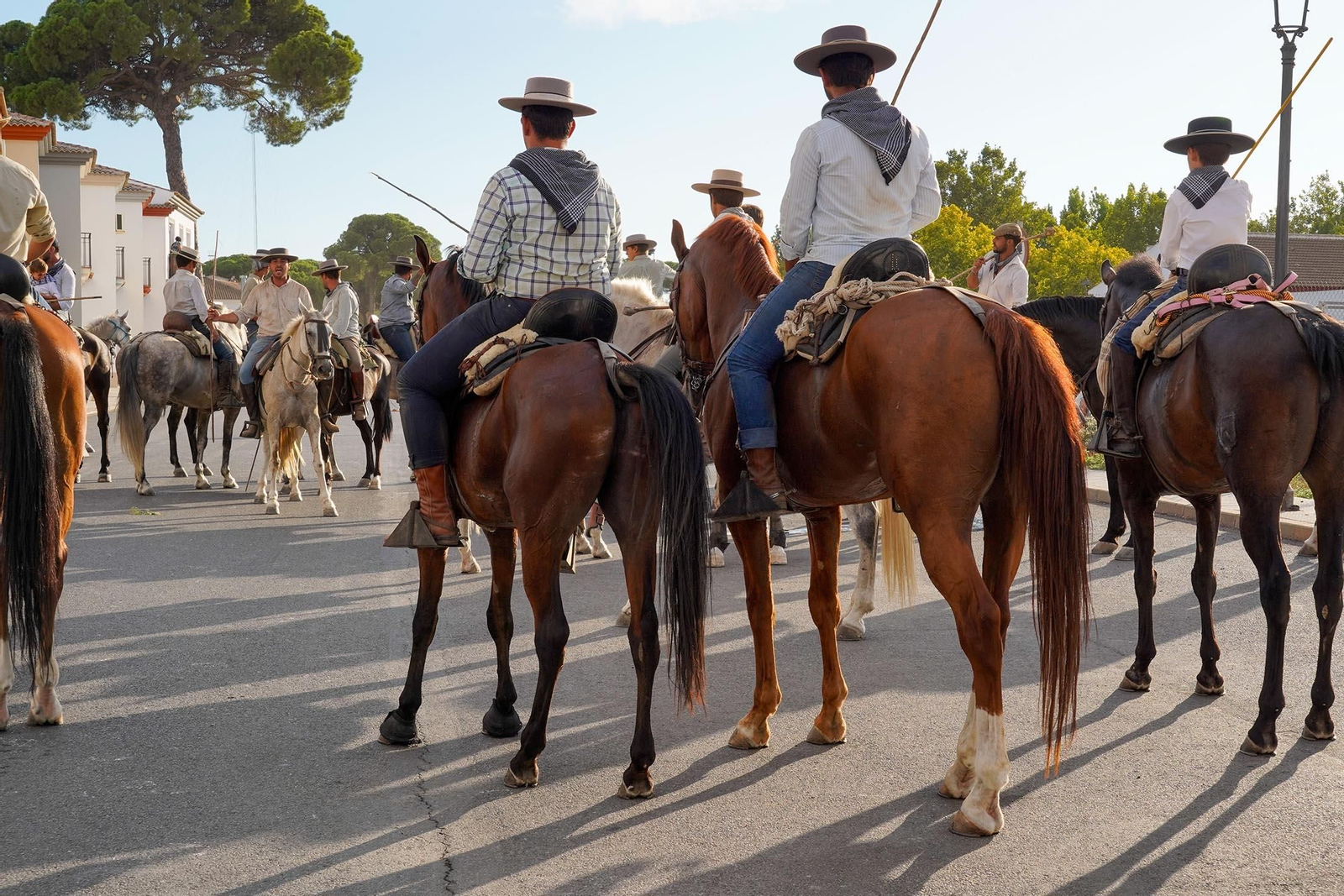 Las imágenes más destacas de la recogida de las yeguas en Hinojos