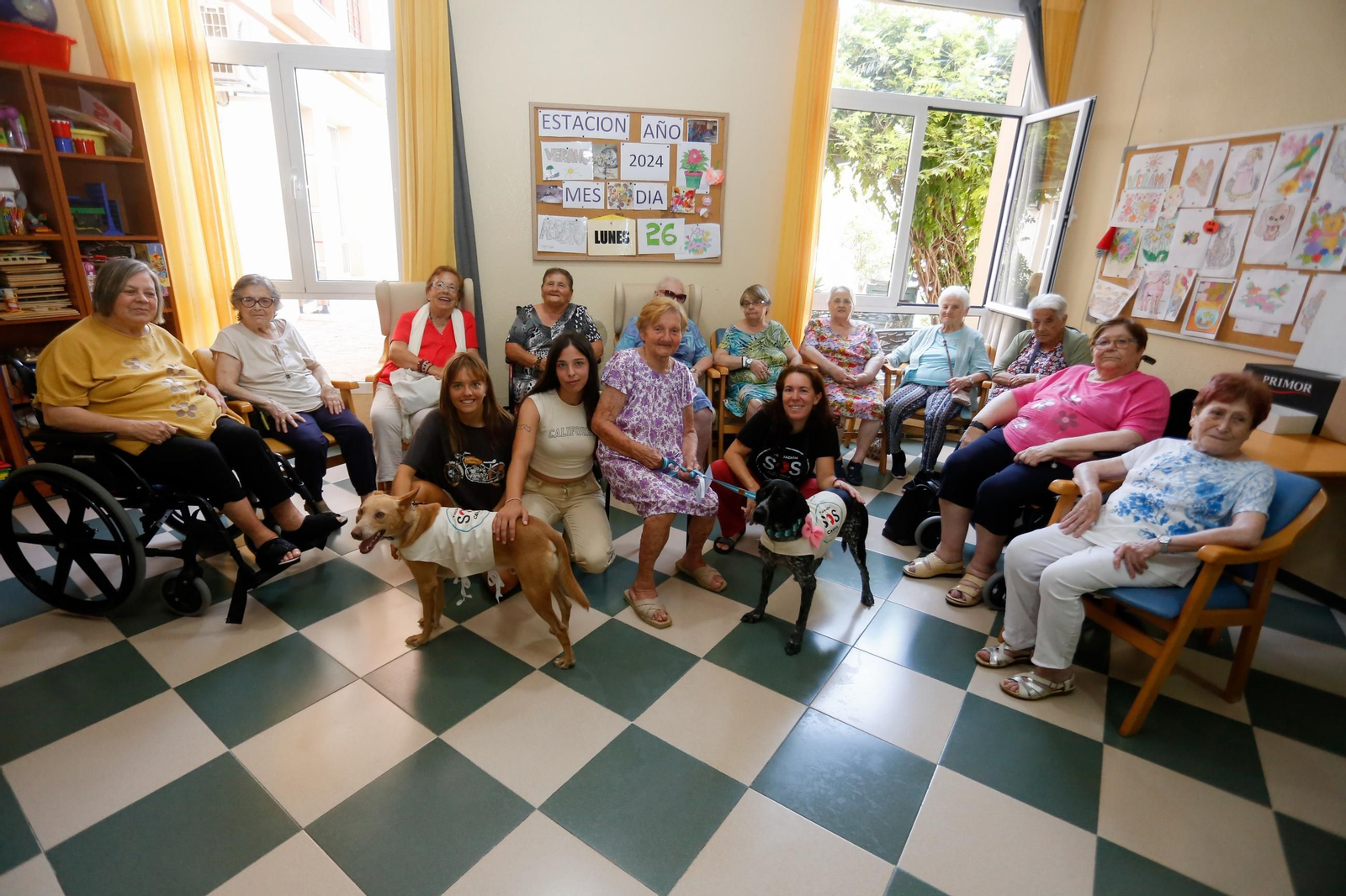 La visita de los perros de la protectora de Los Barrios a la residencia de mayores, en imágenes