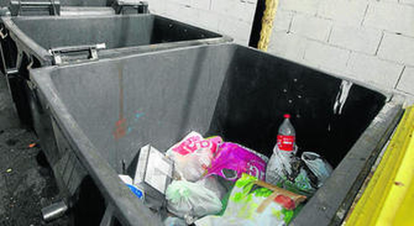 Imagen de varios contenedores en la calle Sol.