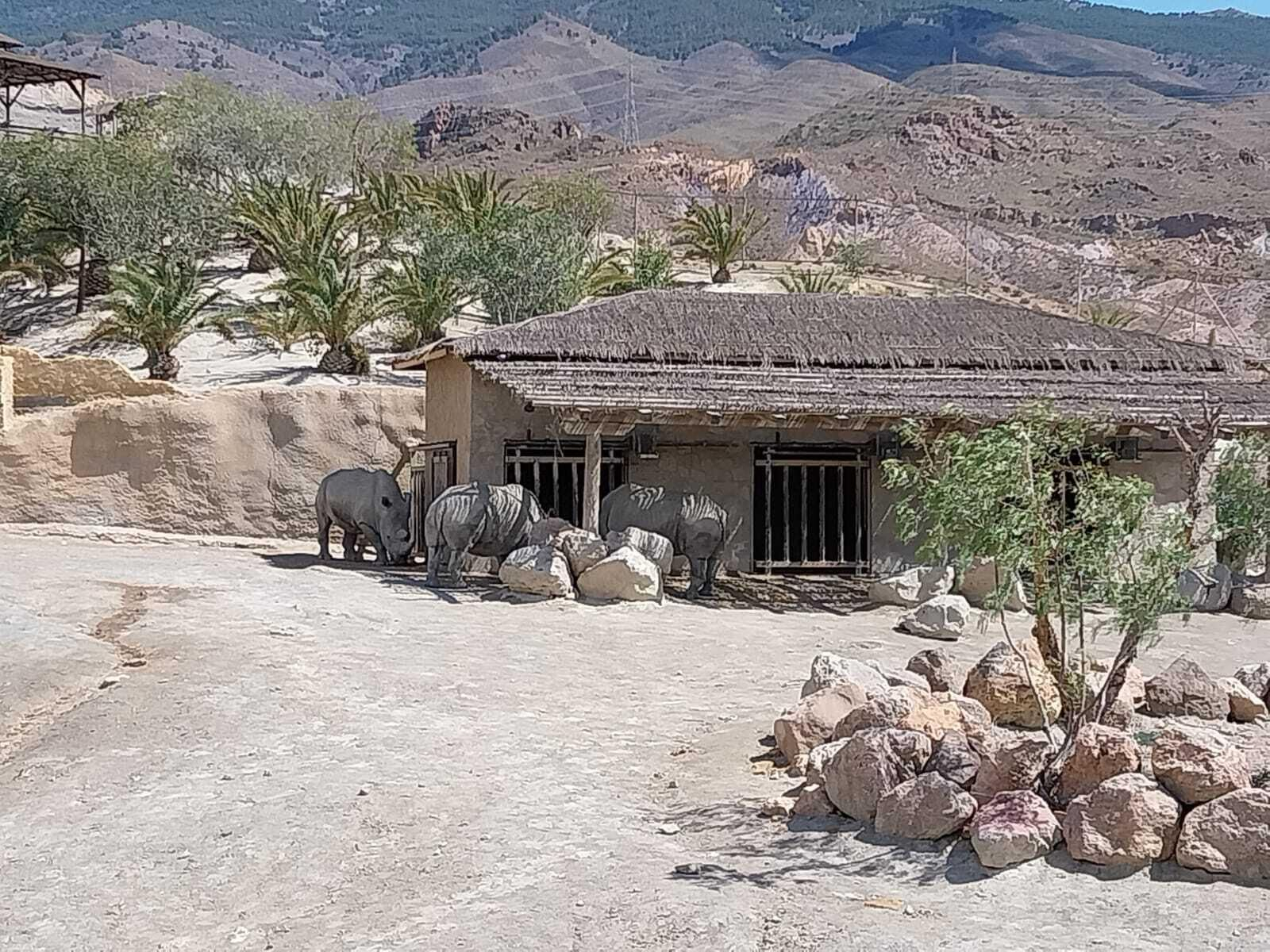 Vea cómo es el Mini Hollywood Oasys y sus espectaculares decorados