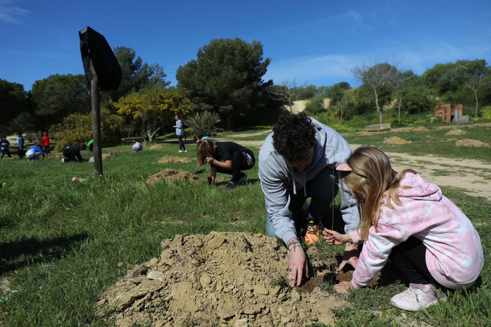 Así ha sido la plantación de árboles en el Cerro por alumnos del colegio Camposoto