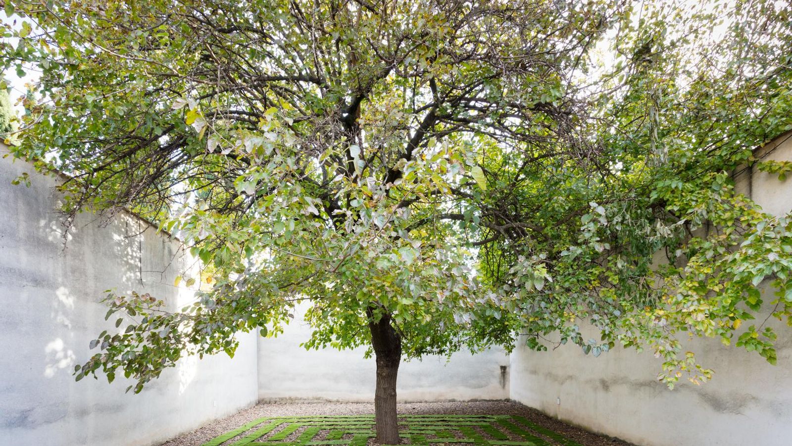 'Tiempo laberíntico', de Concha Jerez.