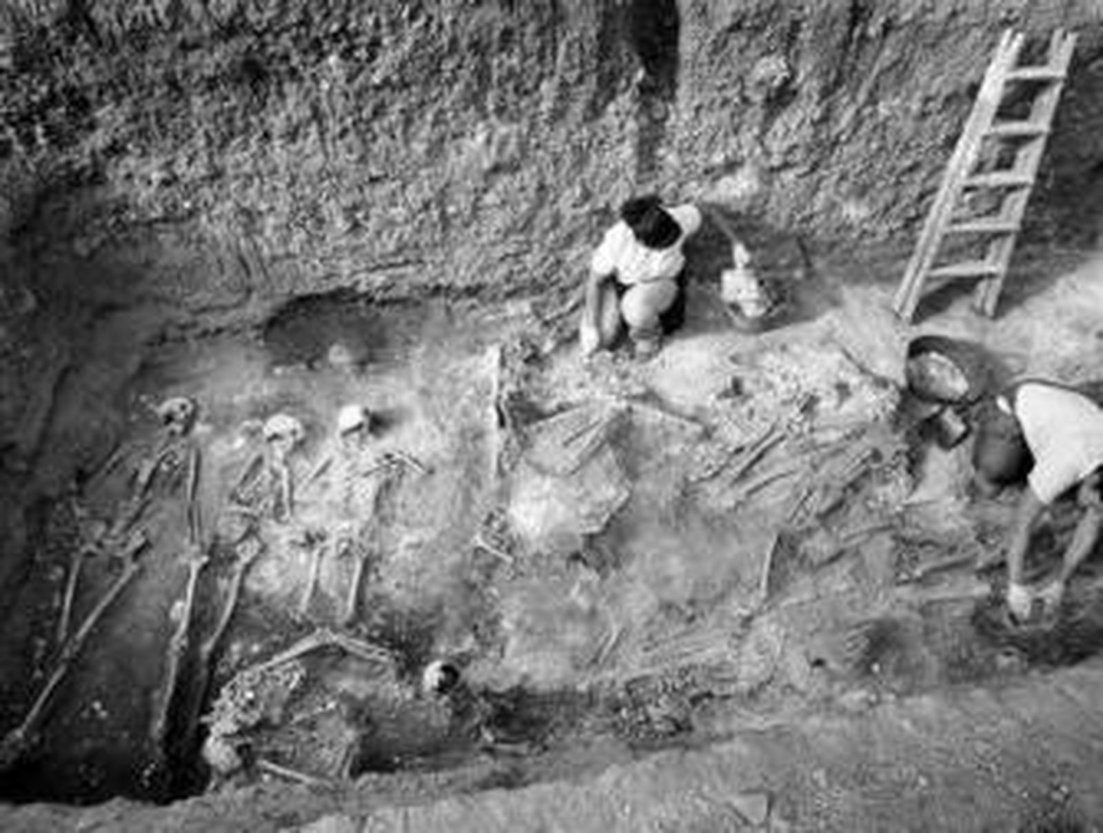 Exhumacion de fosas comunes en el Cementerio de San Rafael, en Málaga.