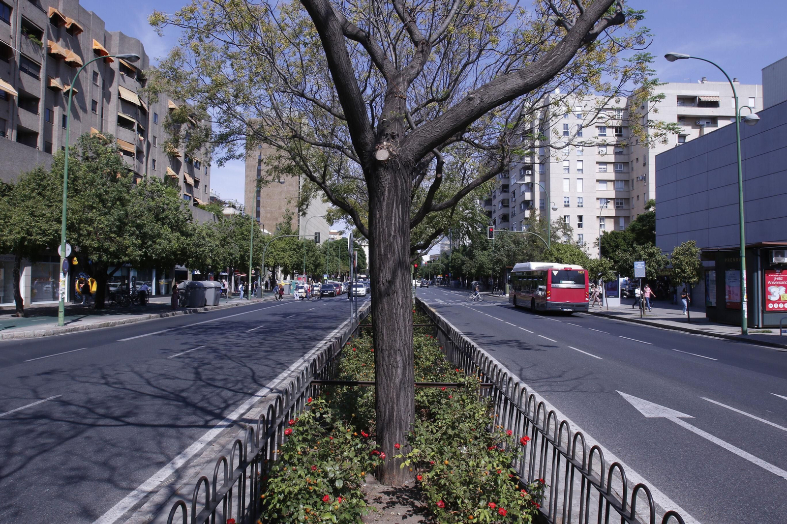 La zona central de la calzada estará reservada para el Metrocentro.