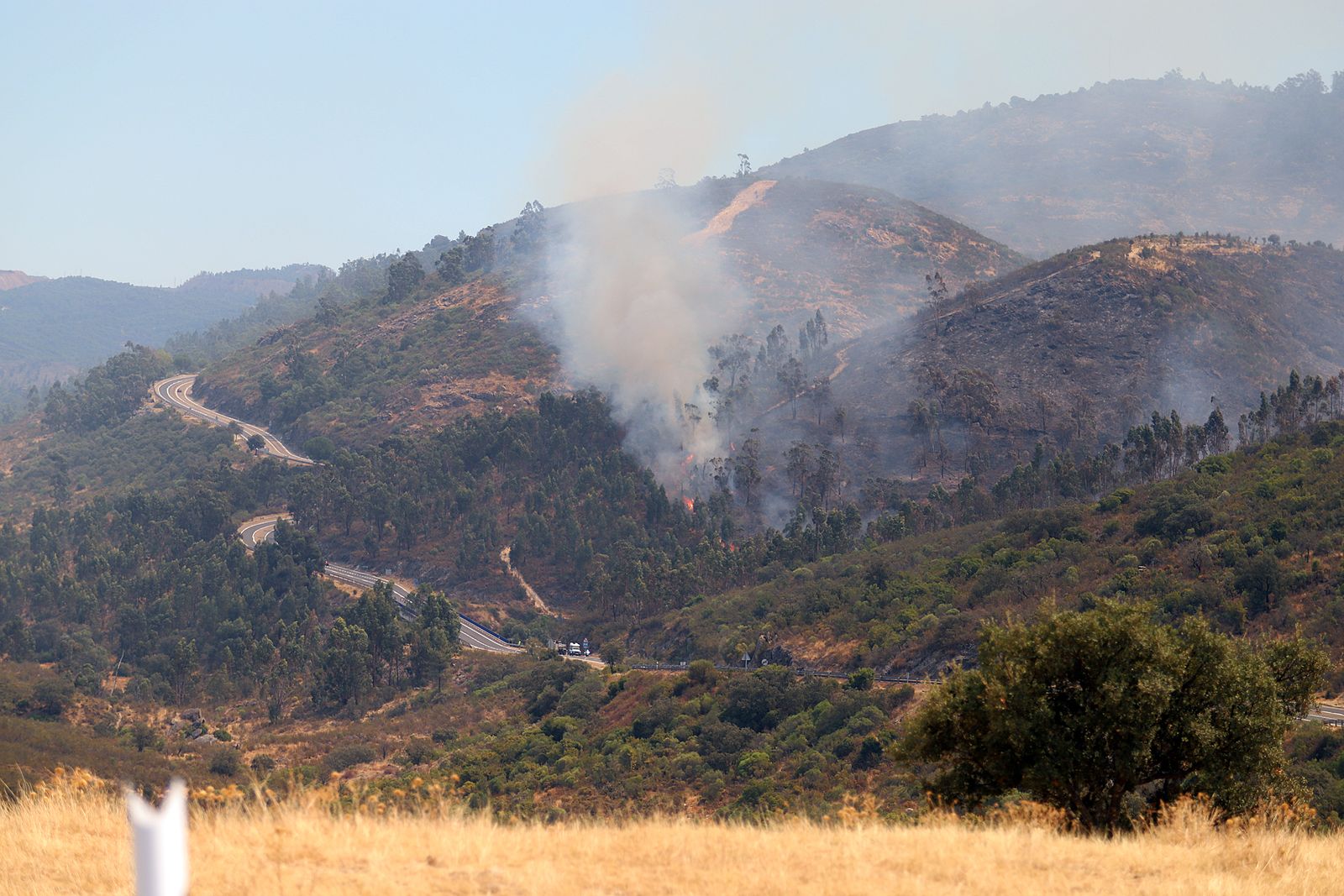 Imágenes de la devastación que deja a su paso el incendio de Almonaster la real.