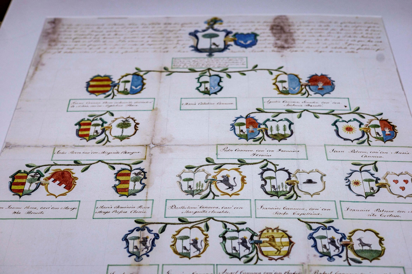 Árbol genealógico.