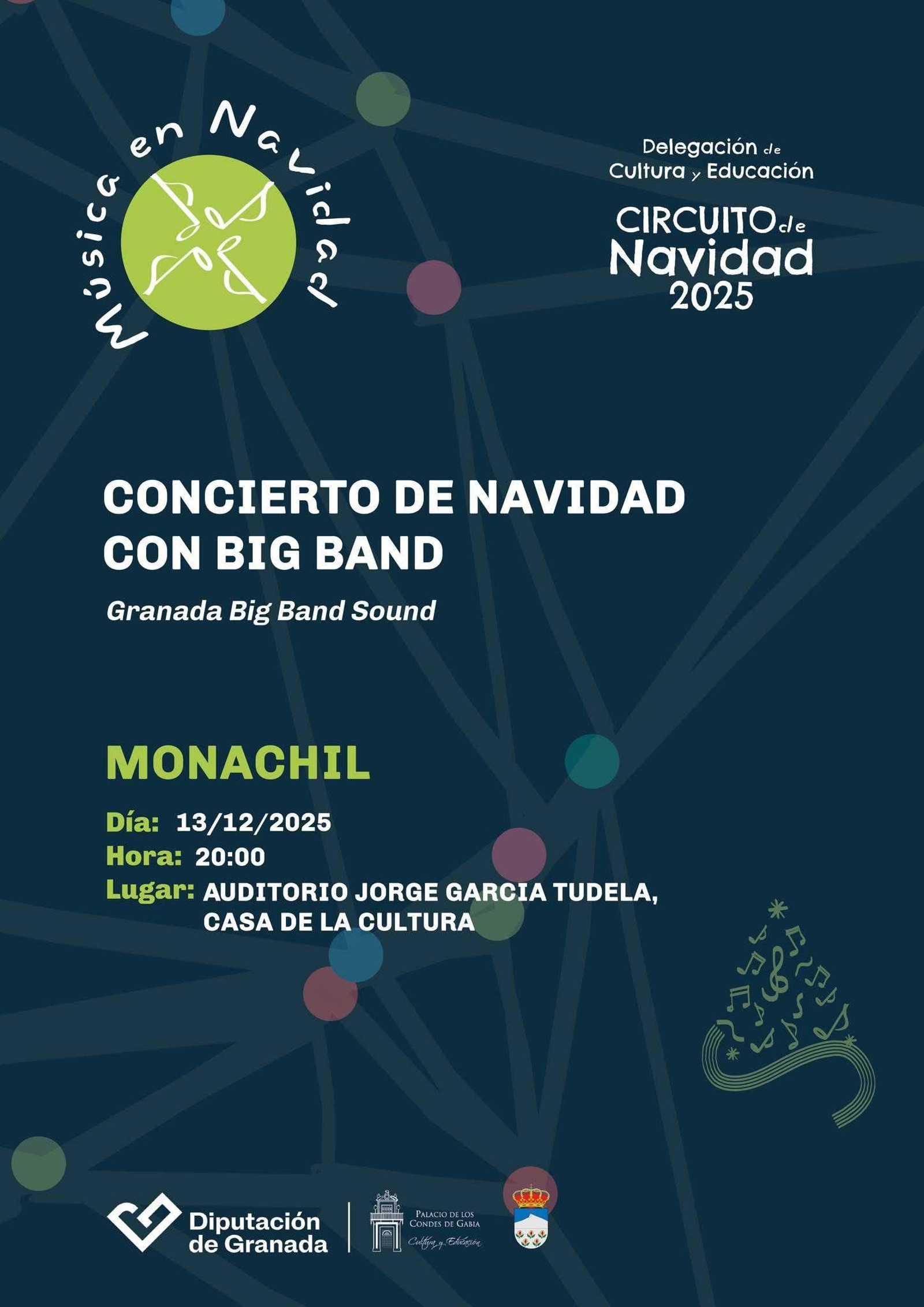 Cartel oficial del concierto.