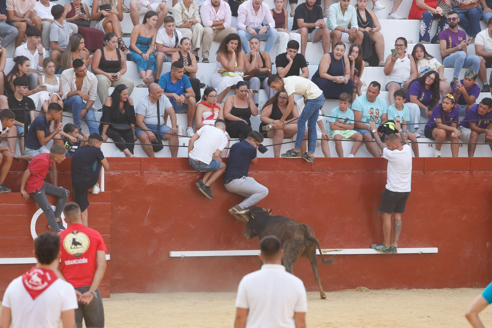 Fotos del Toro del Aguardiente en San Roque