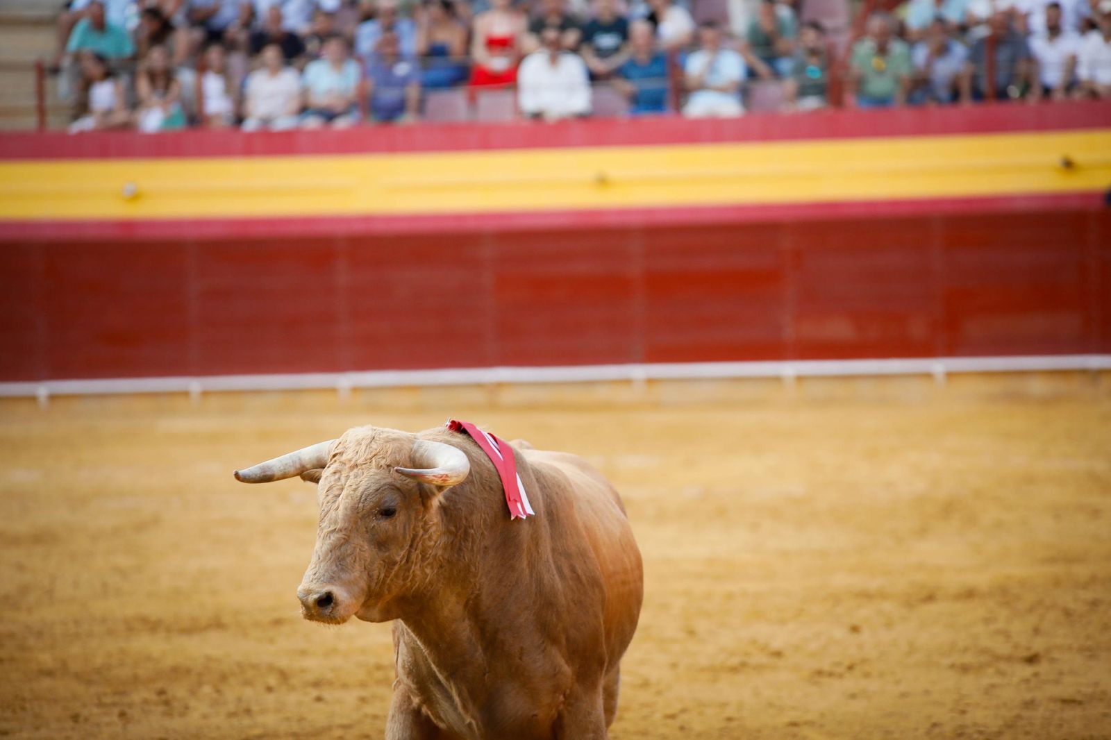 Imágenes de la corrida de toros en Roquetas de Mar