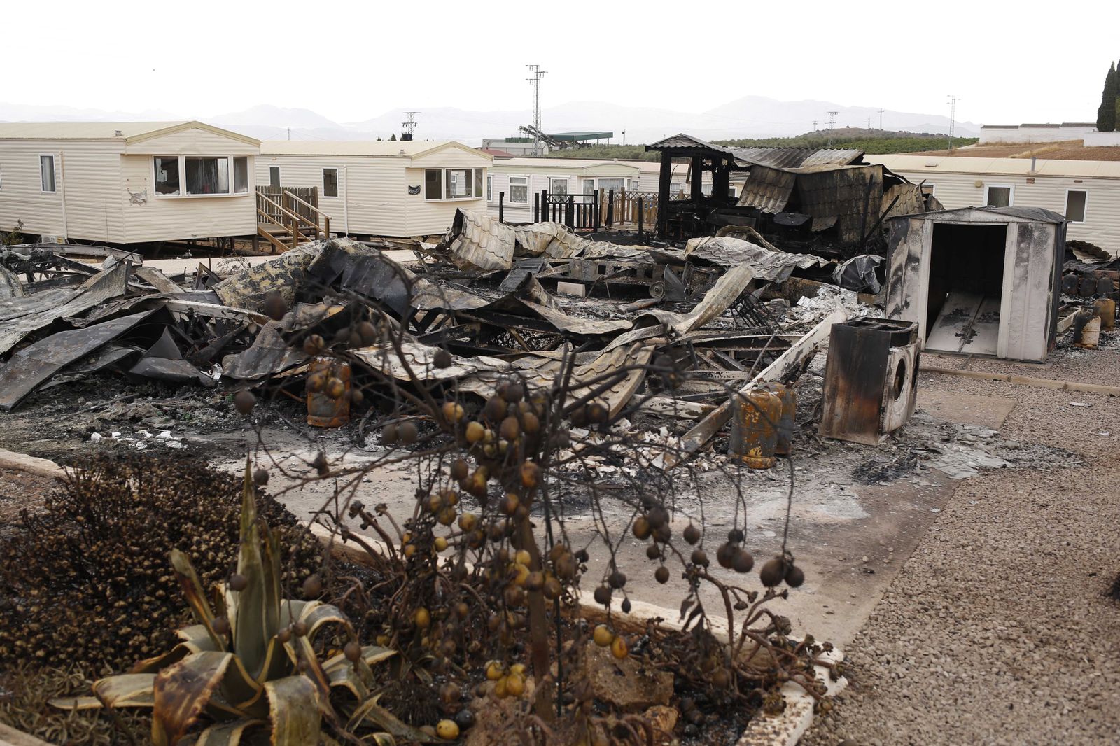 Las fotos del camping de Mollina, arrasado por el incendio