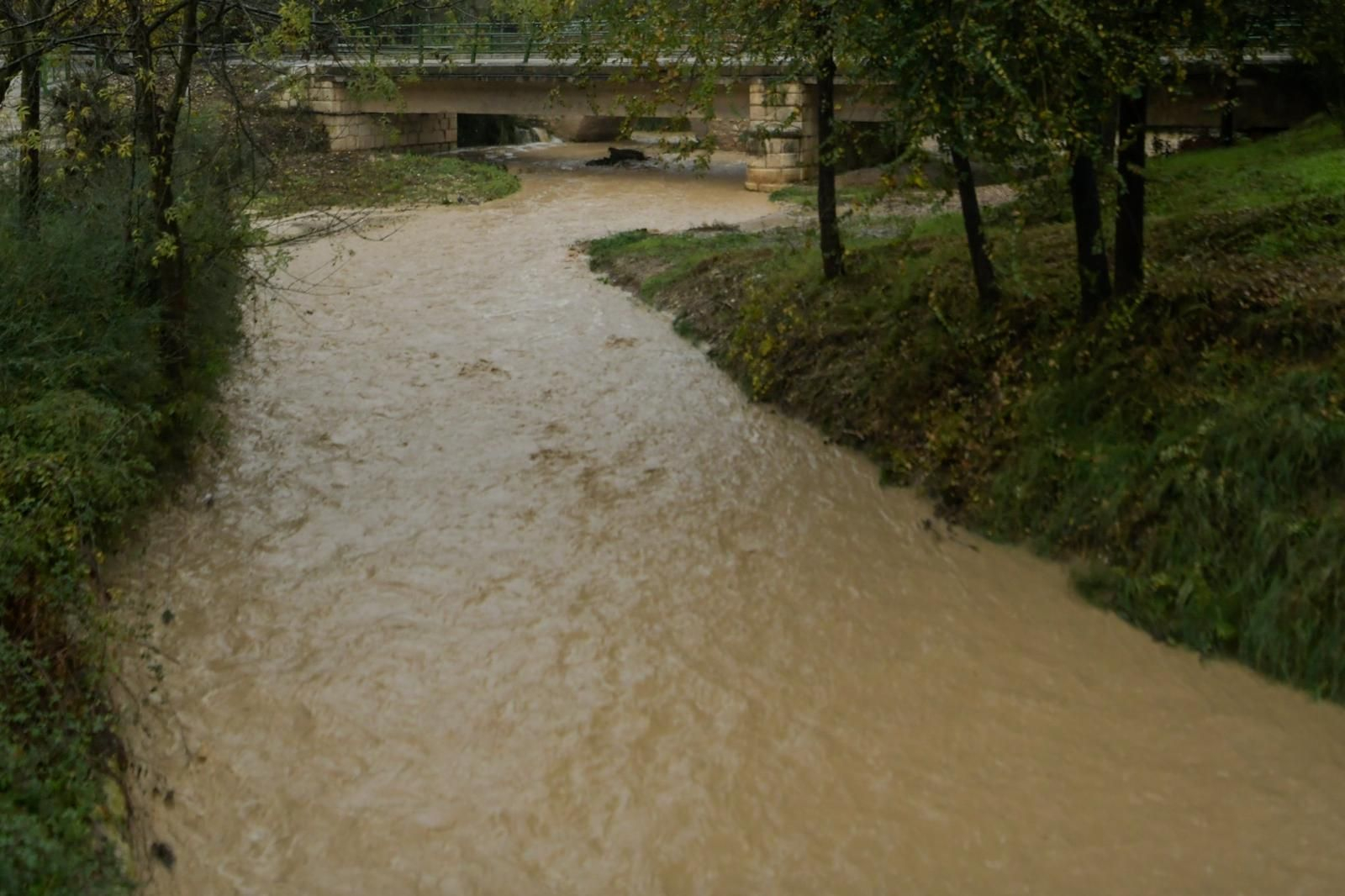 Galería | Todas las imágenes de la DANA que azota Granada este miércoles