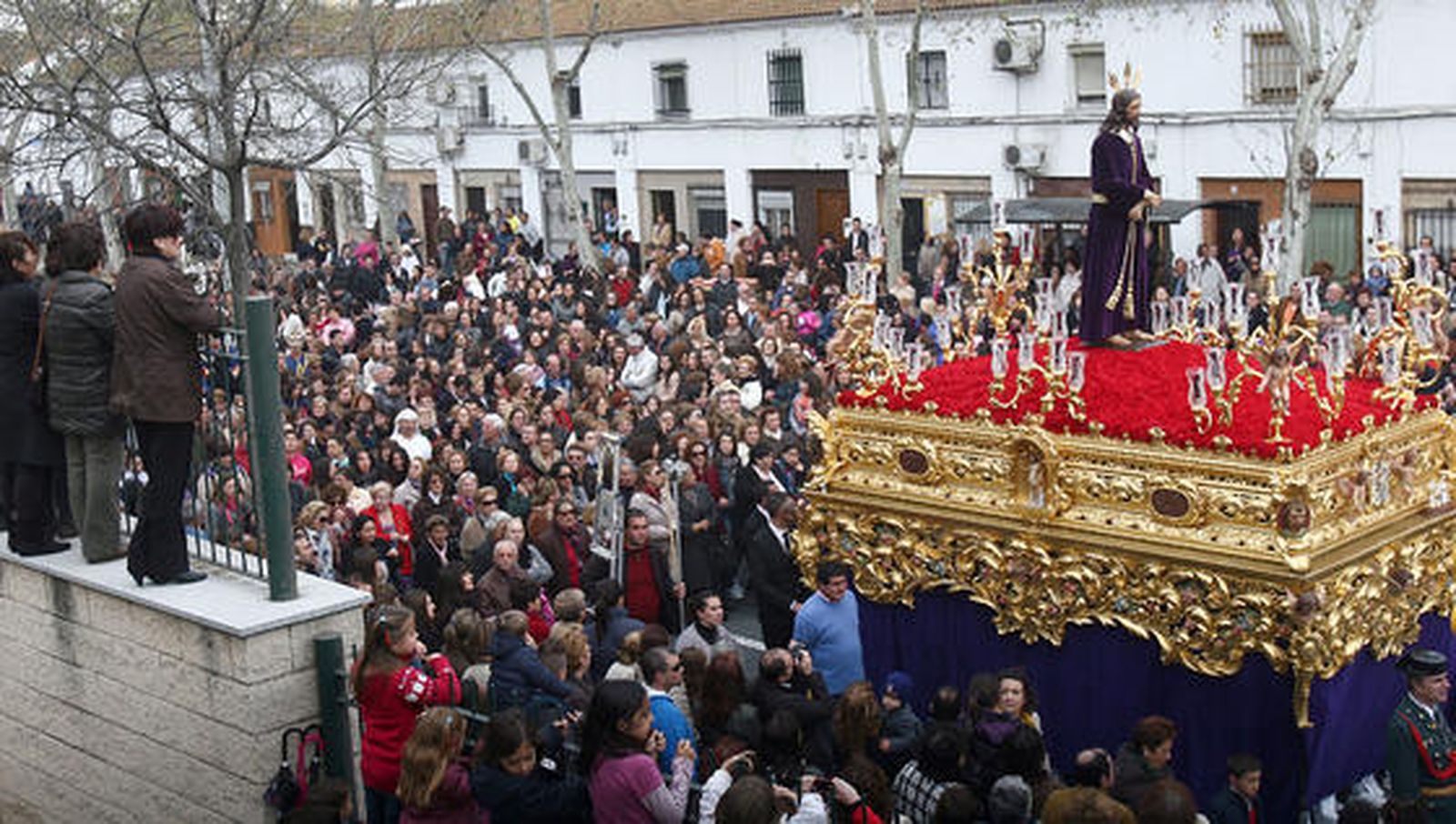 Cautivo.

Foto: Josué Correa