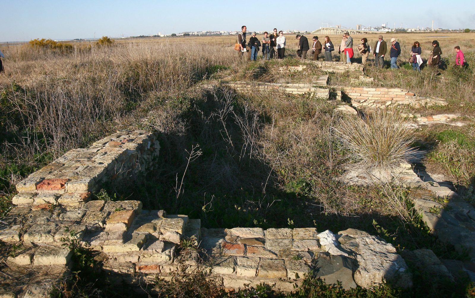 Yacimiento de Isla Saltés.