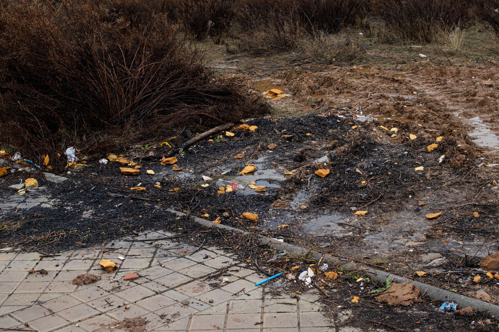 Caos y basura, el bucle en la Zona Norte