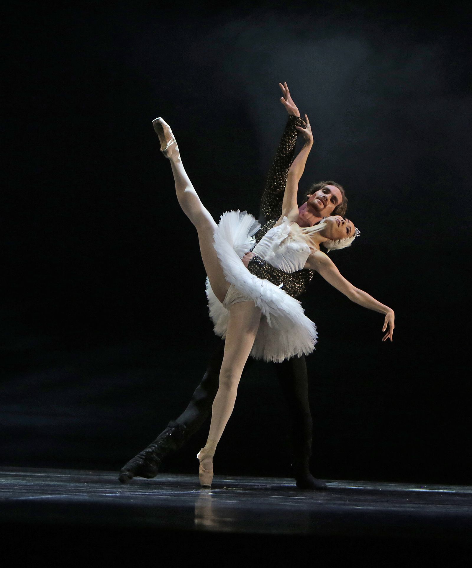 EL LAGO DE LOS CISNES