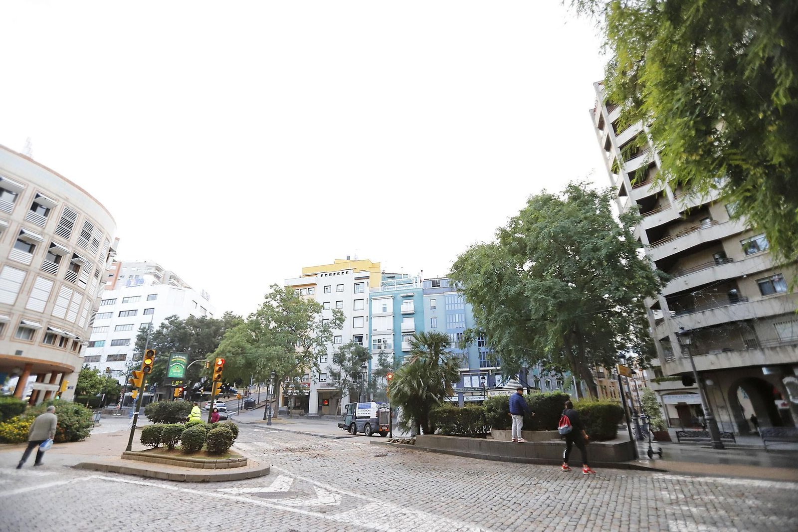 Imágenes de la tala de la emblemática Palmera de Huelva