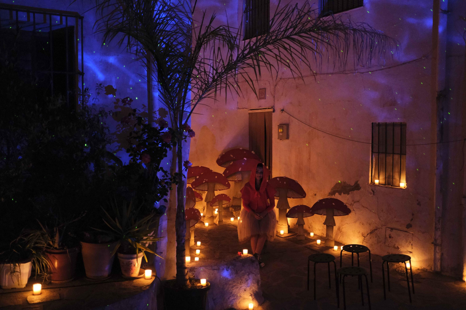 El 'Bosque encantado' de Parauta, en fotos.