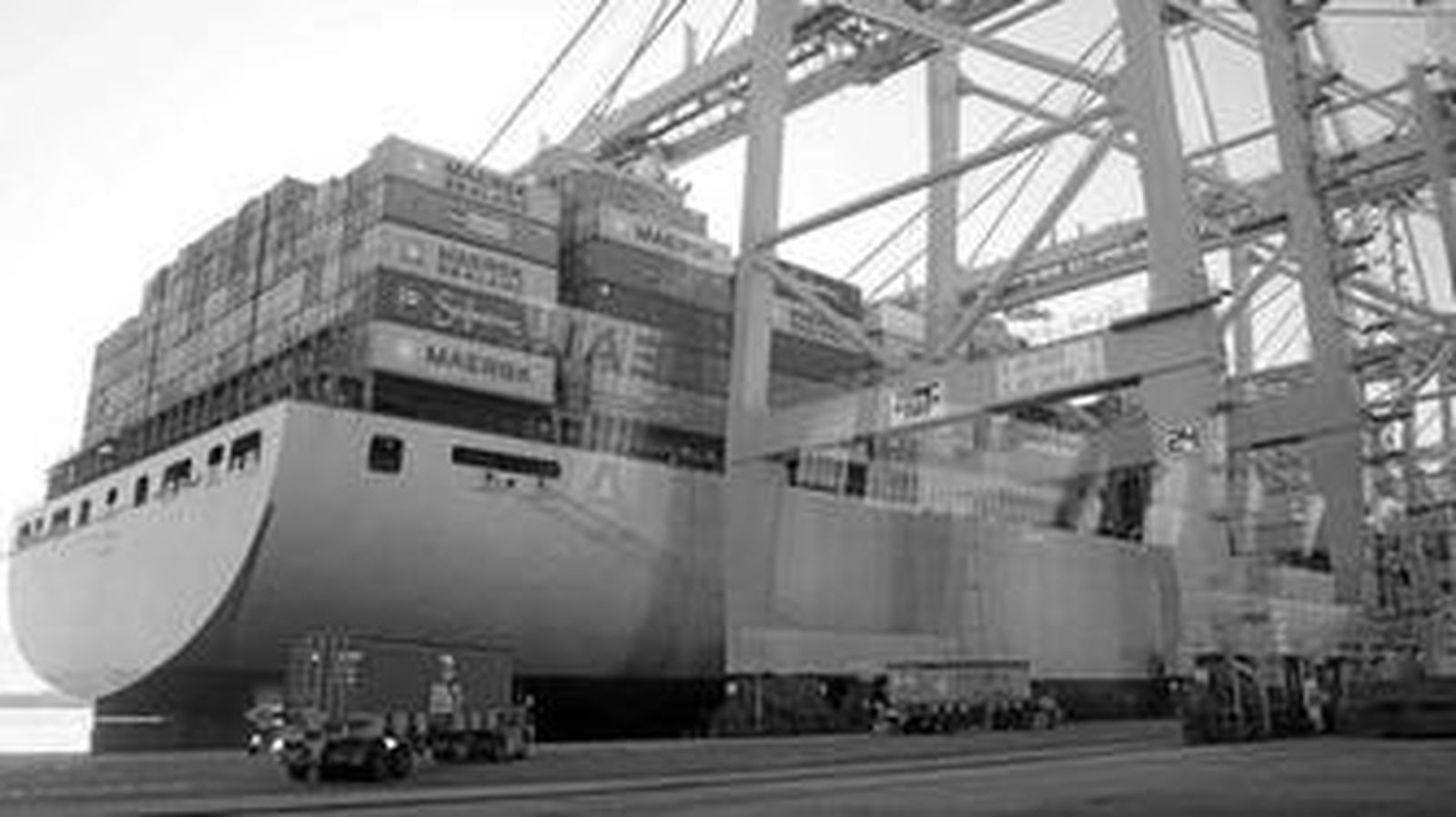 Grúas de Maersk descargan contenedores de un buque en la terminal algecireña.