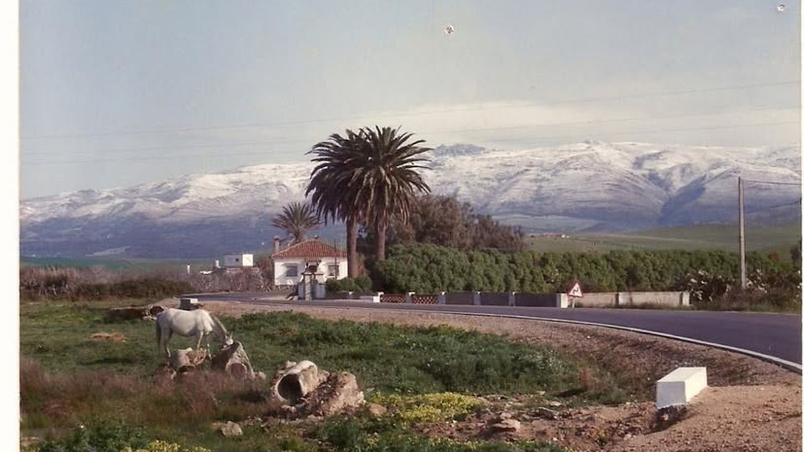 Nevada en Tarifa en 1993. RRSS