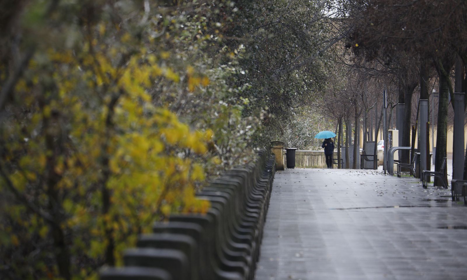 Las fotografías del paso de la borrasca Filomena por Córdoba