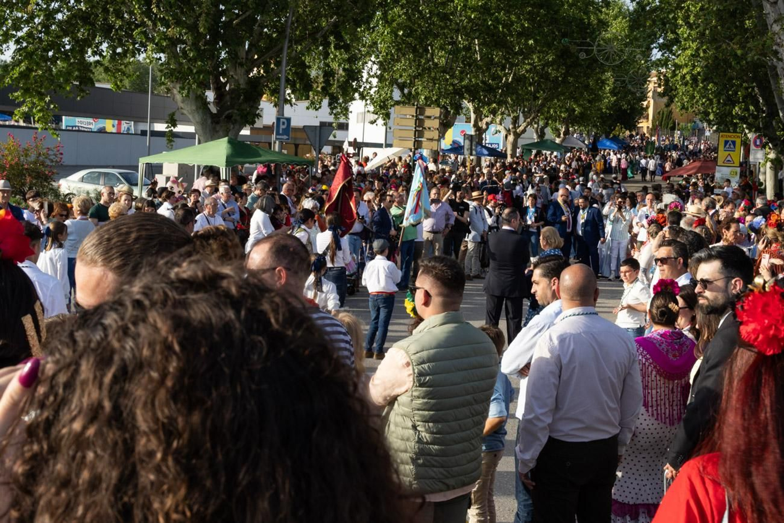 Recepción de Cofradías de la Romería de La Virgen de la Cabeza en Andújar