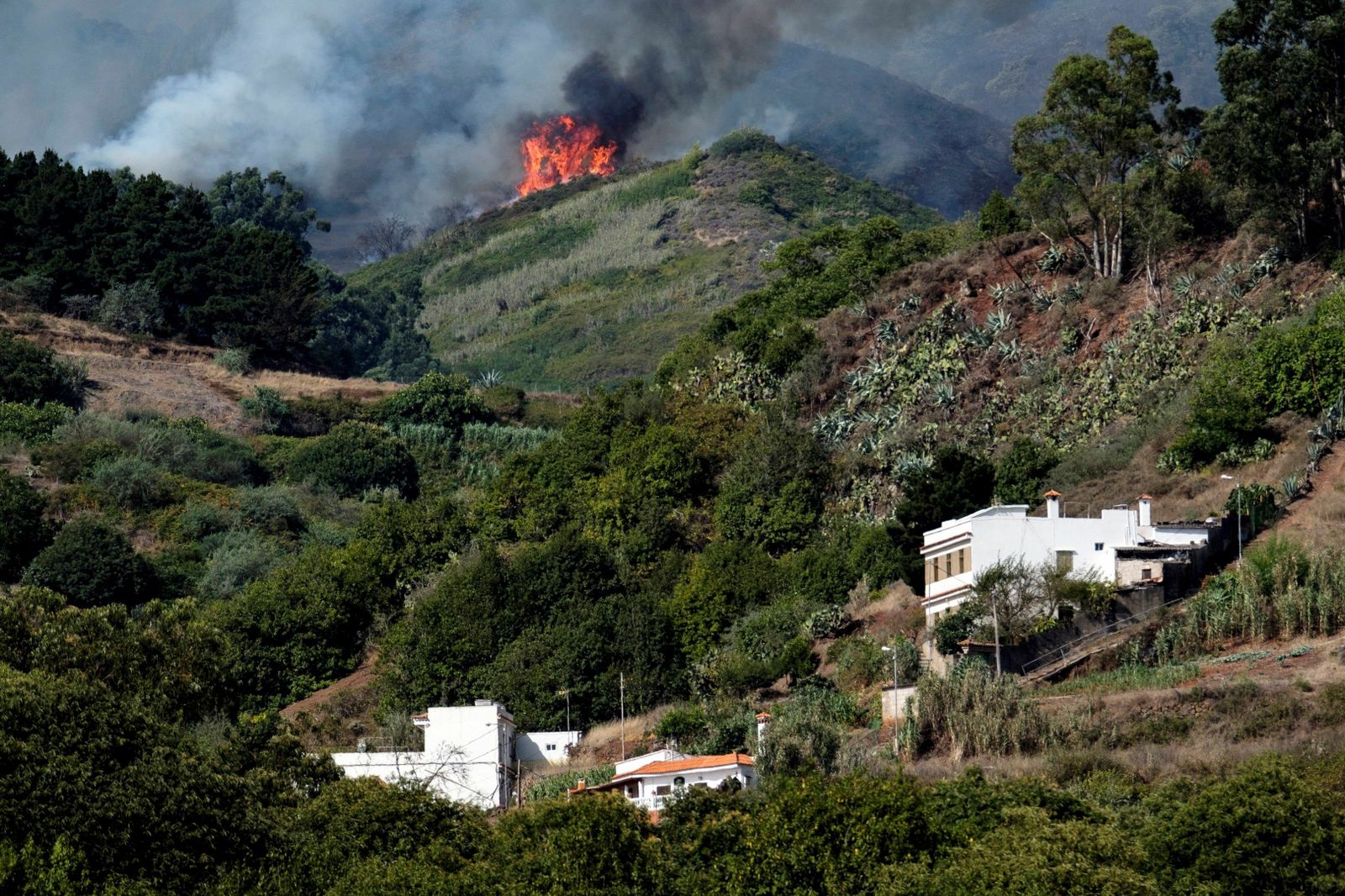 Las imágenes del incendio forestal en Gran Canaria.