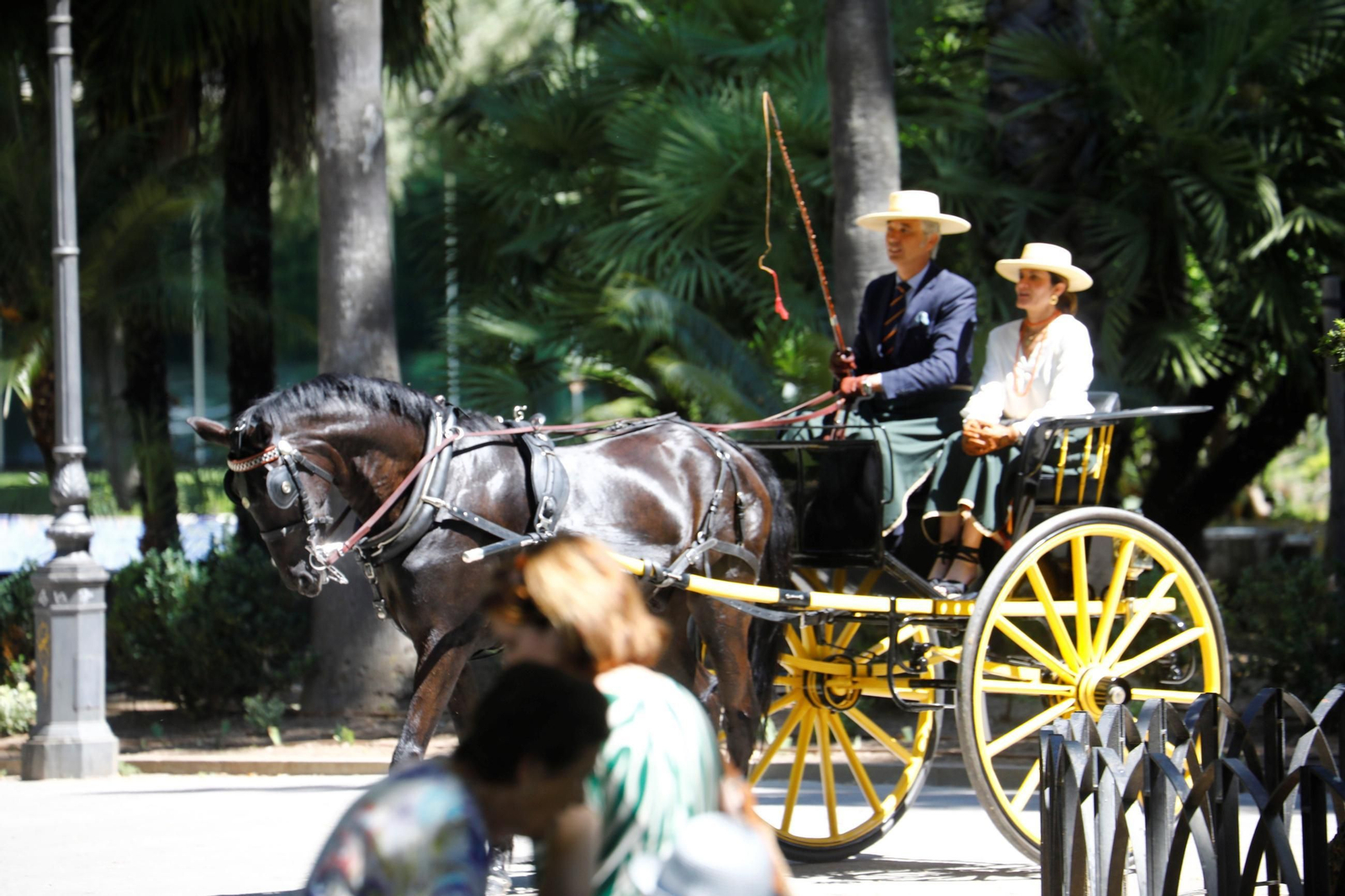 La exhibición de carruajes de tradición Nuestra Señora de la Salud, en imágenes
