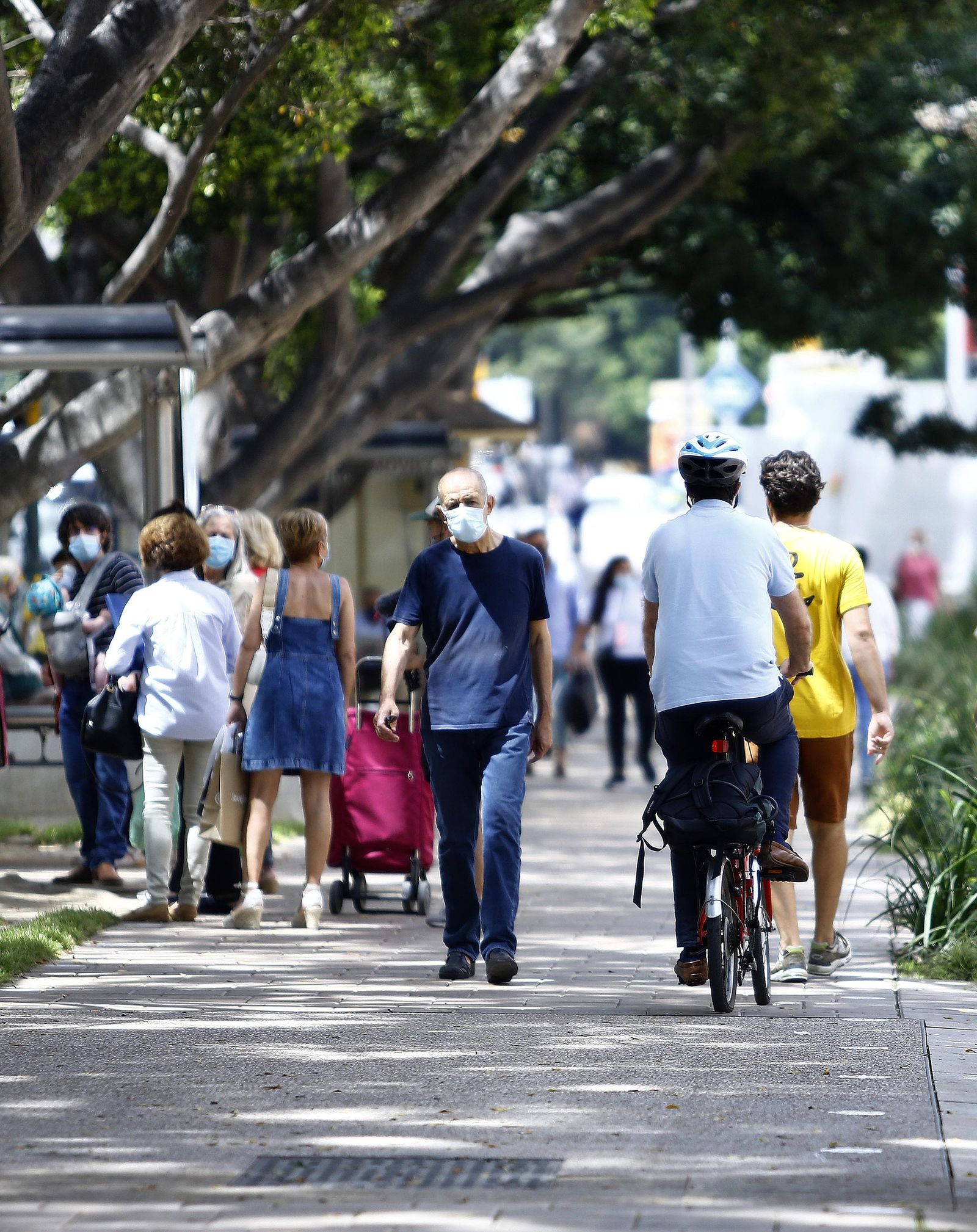 El peligroso carril bici de la Alameda, en fotos